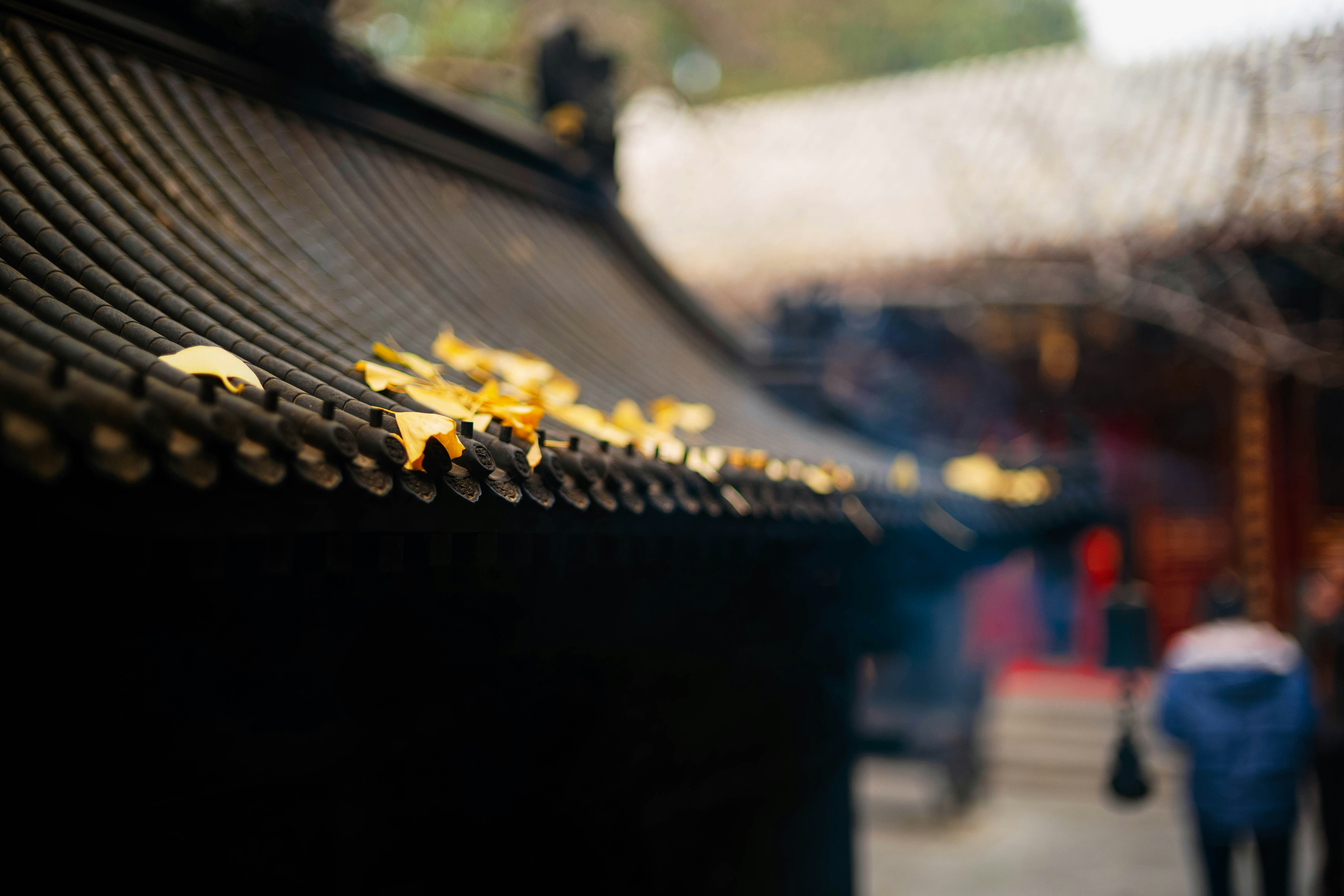 Photo by tommaomaoer