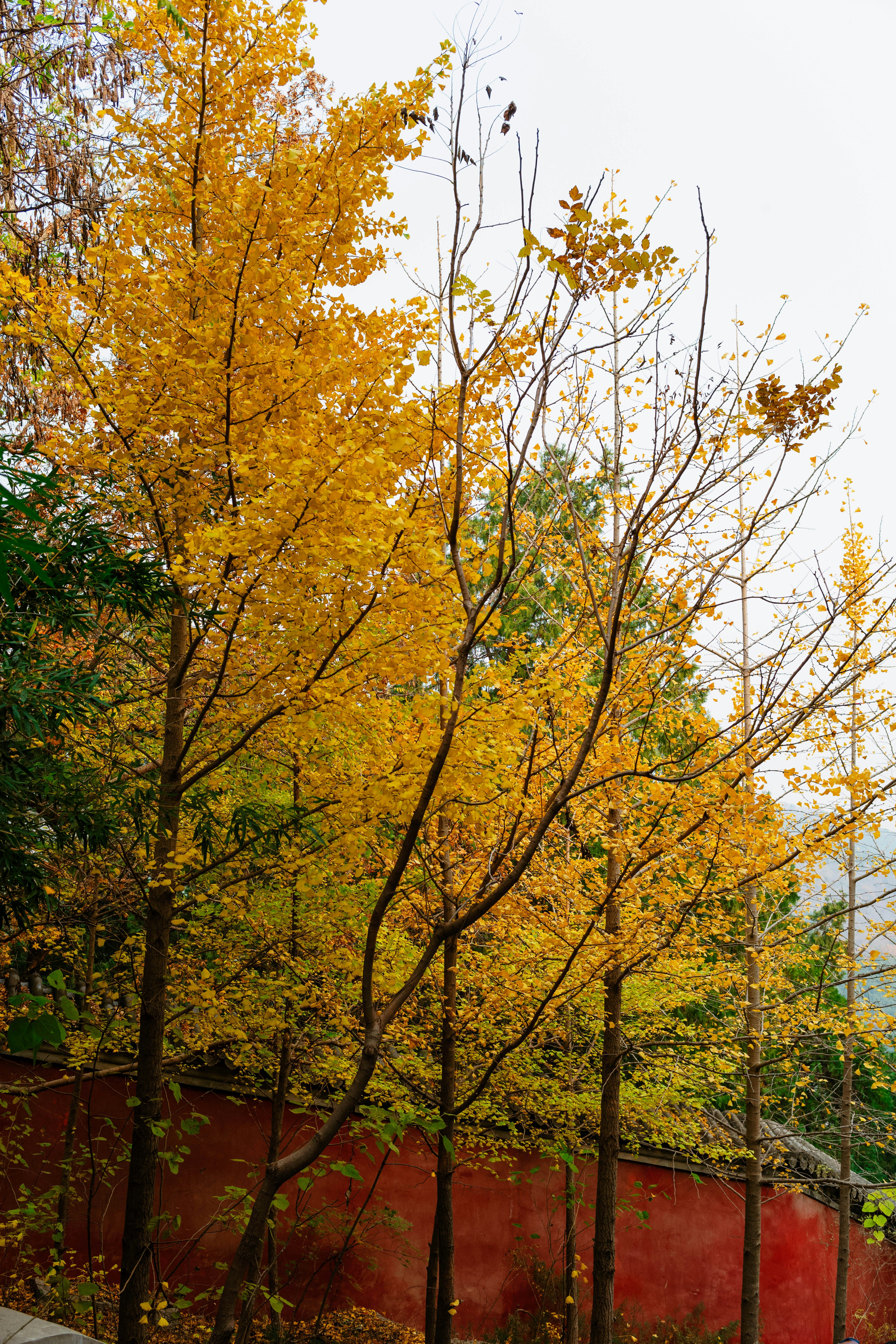 Photo by tommaomaoer