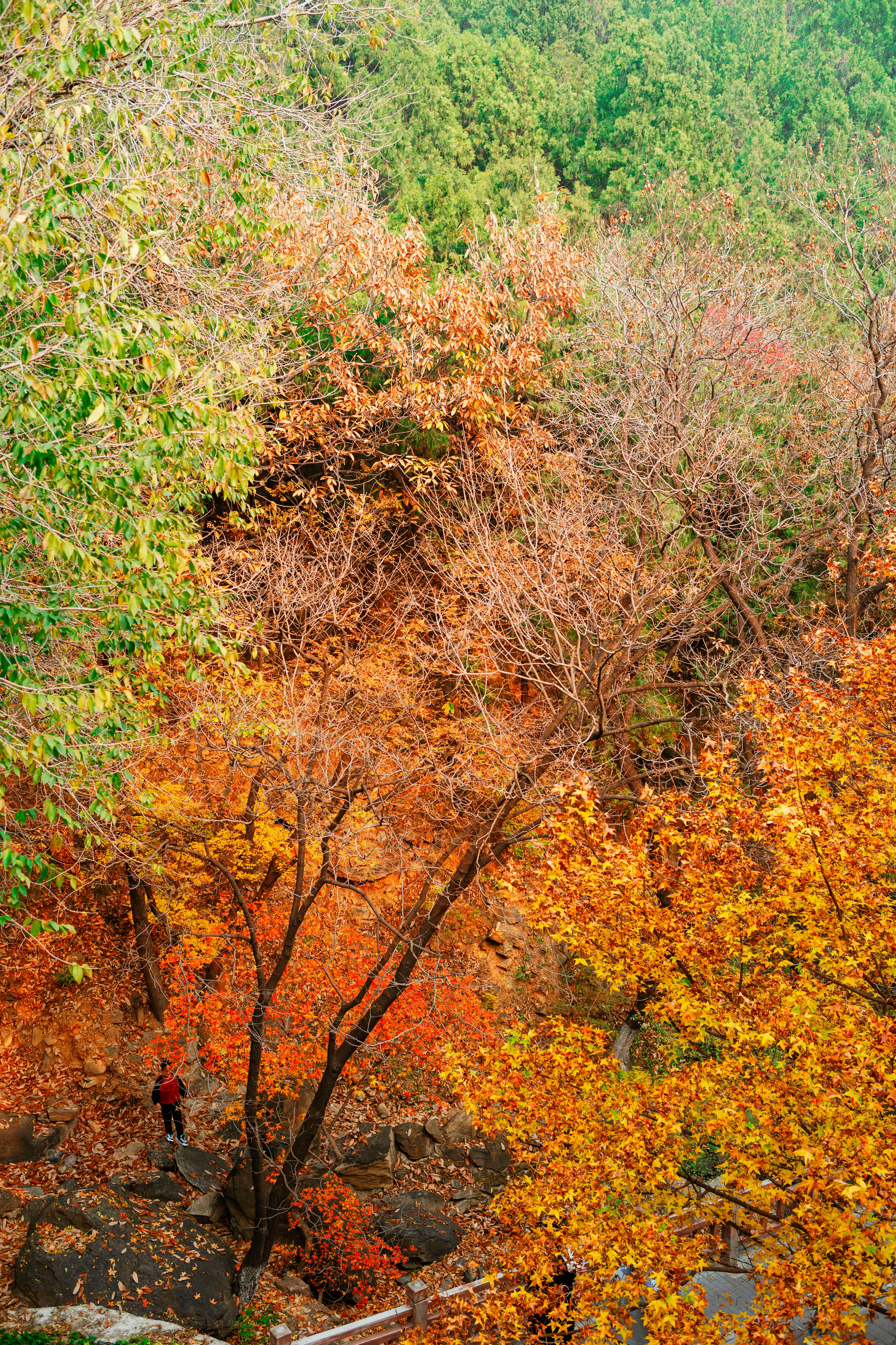 Photo by tommaomaoer