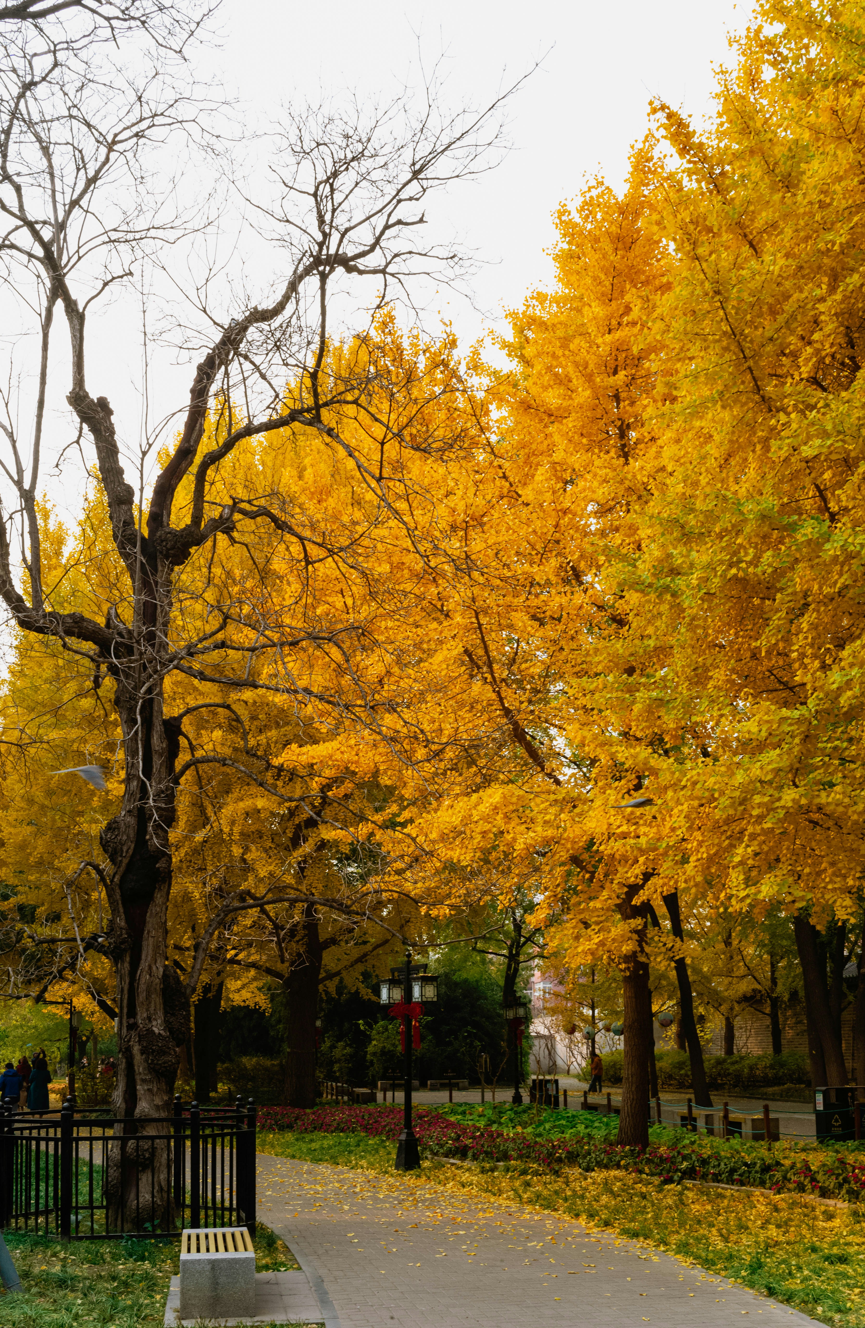 Photo by tommaomaoer