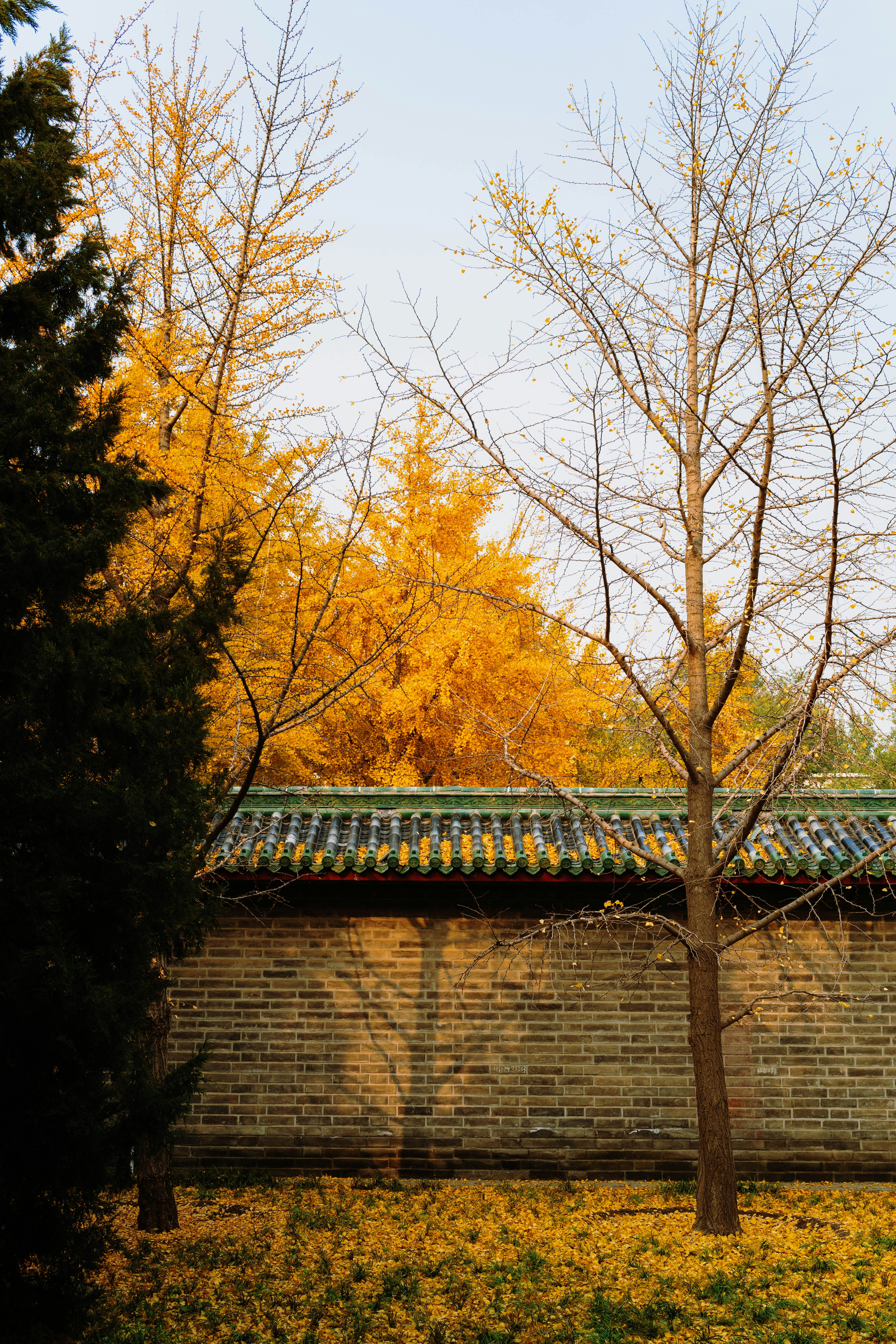 Photo by tommaomaoer