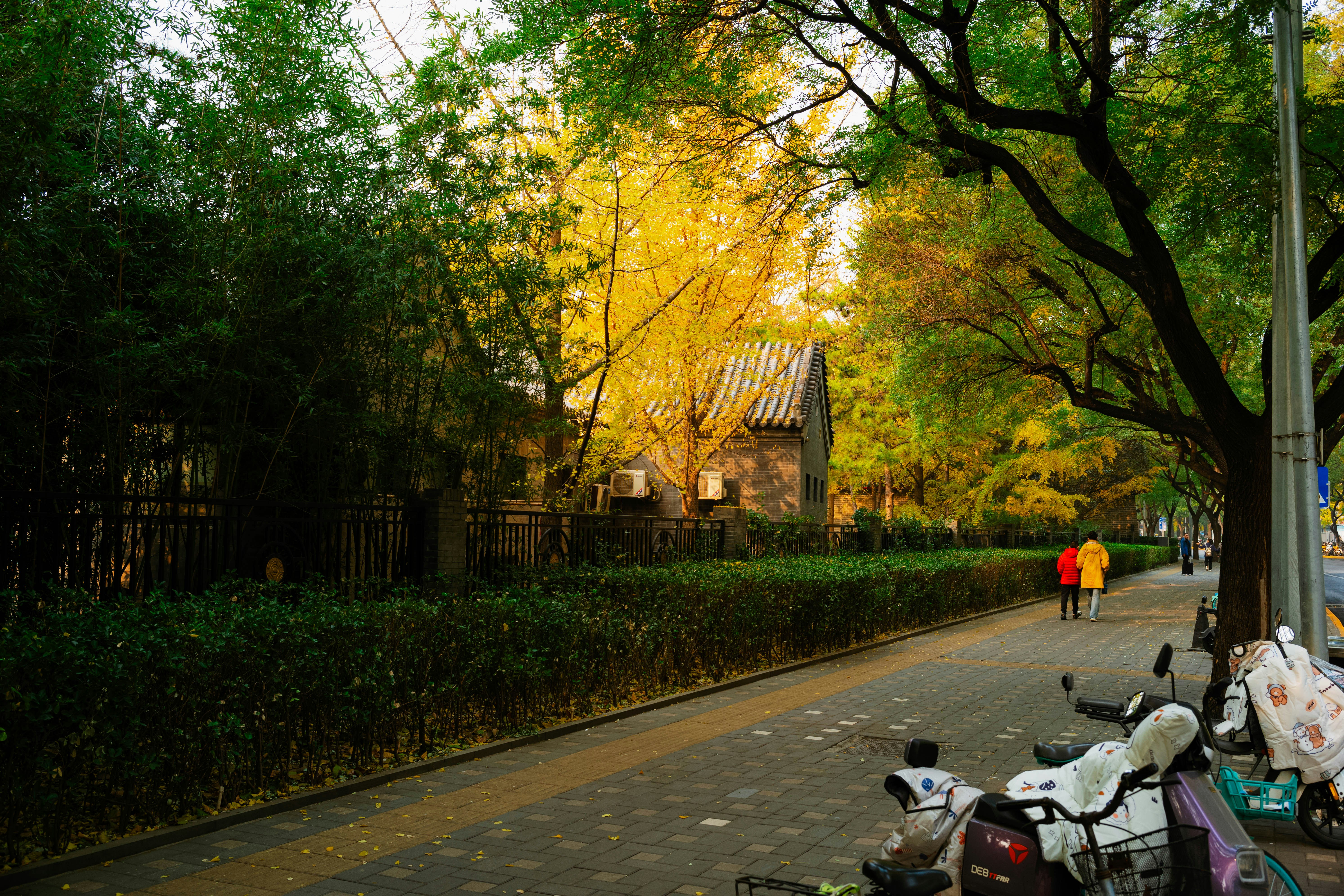 Photo by tommaomaoer