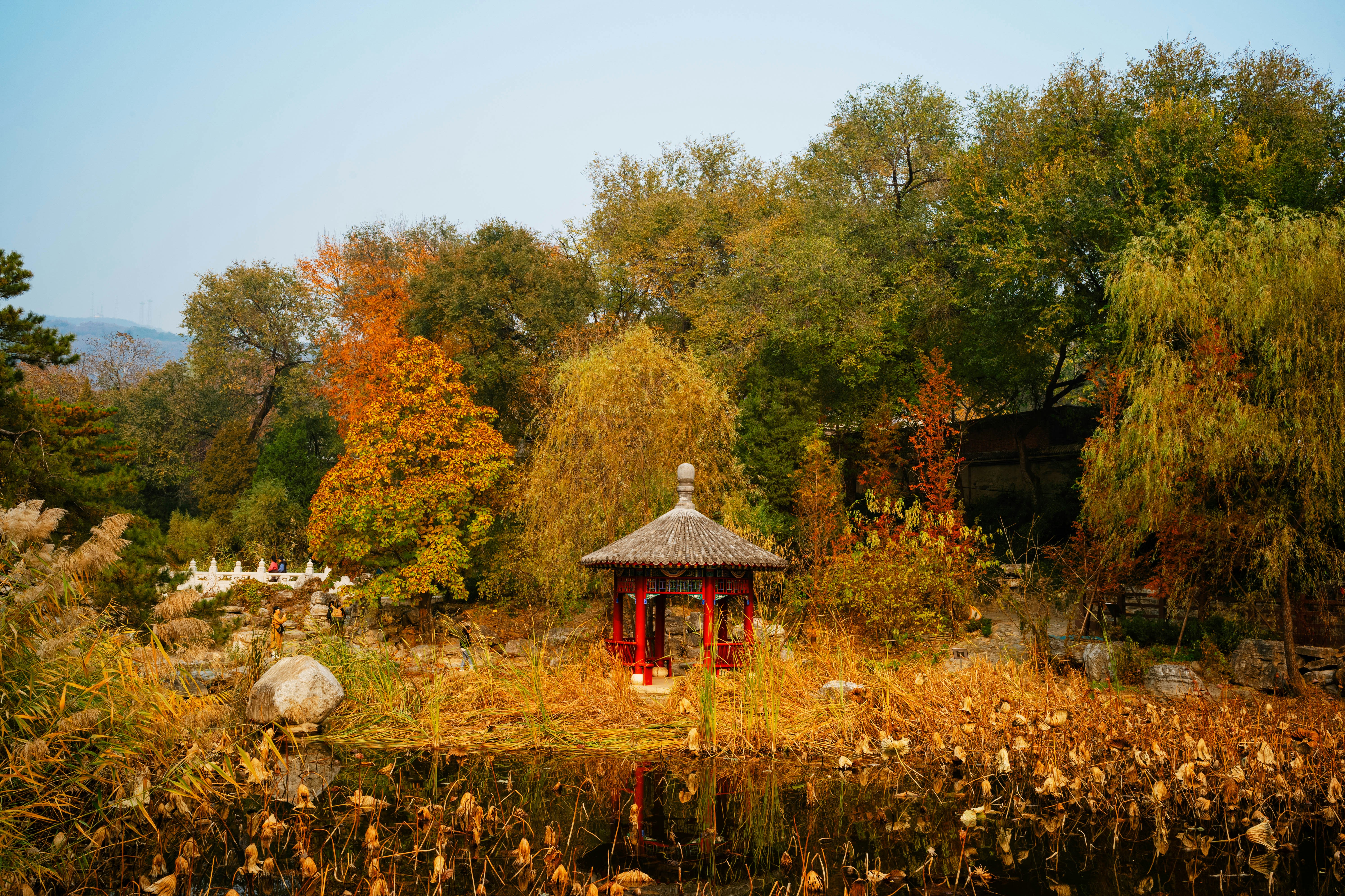 Photo by tommaomaoer