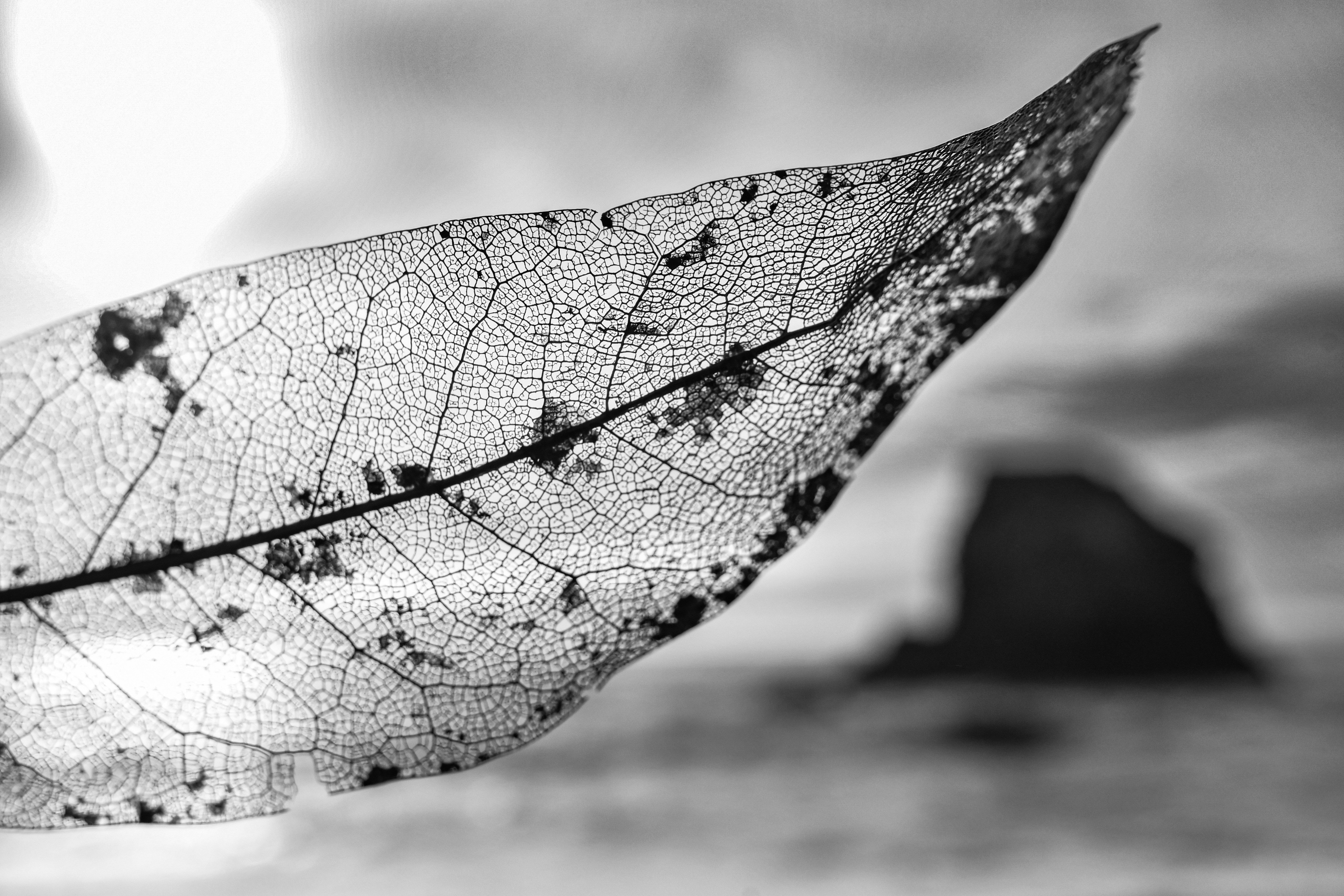 Photo by elisastonephotography