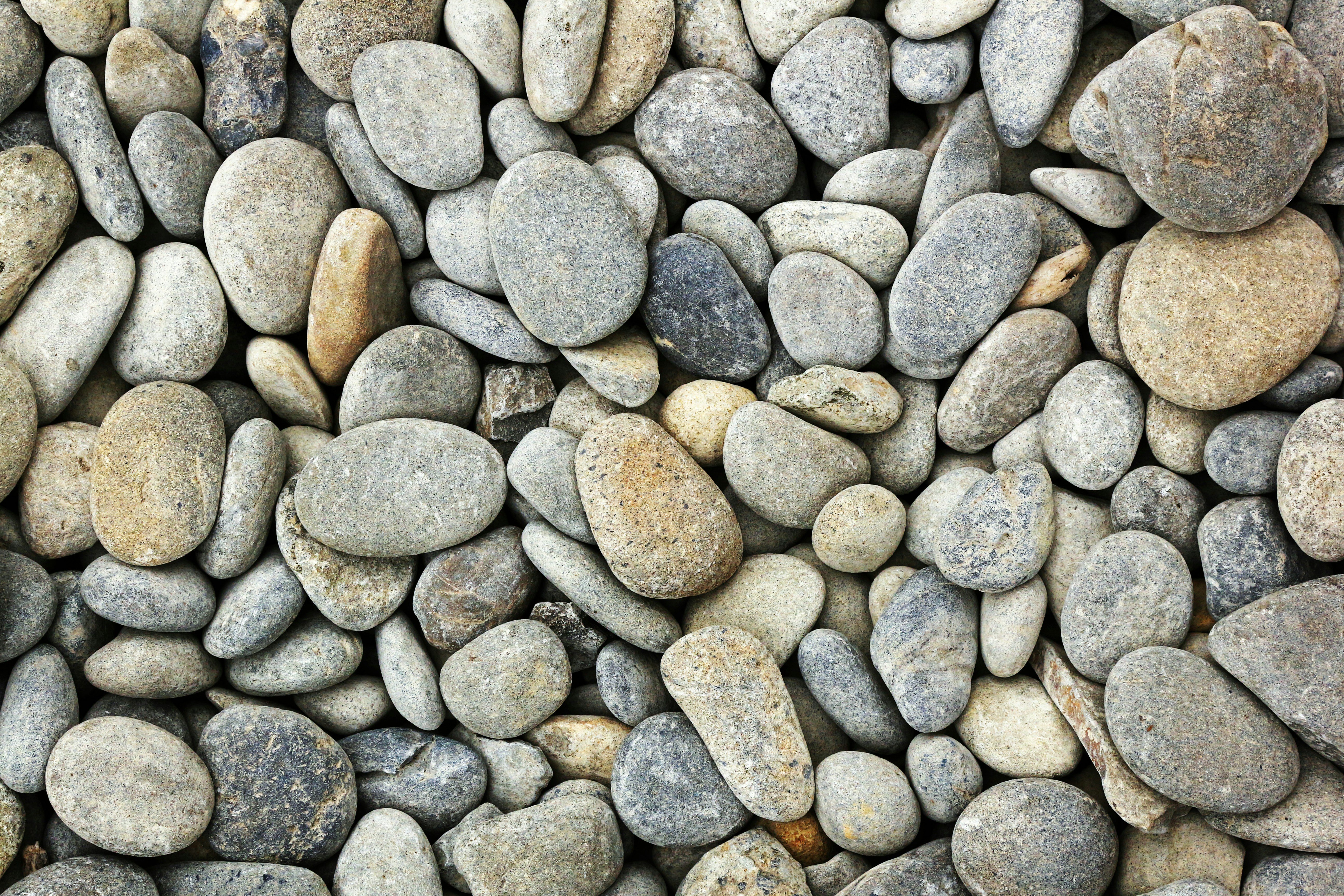 Photo by john_cardamone