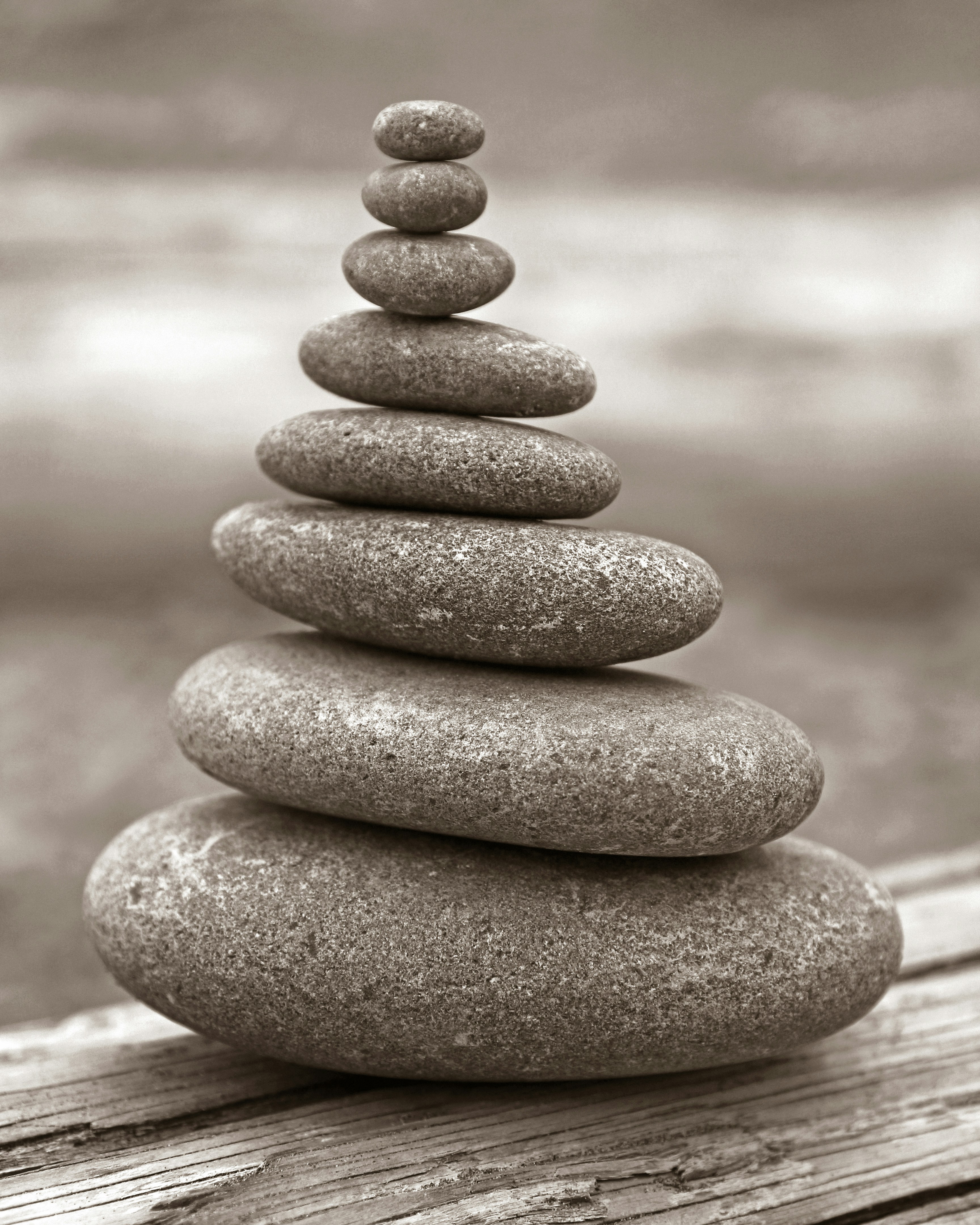 Achieving Balance: Mind, Body, and Social Wellbeing