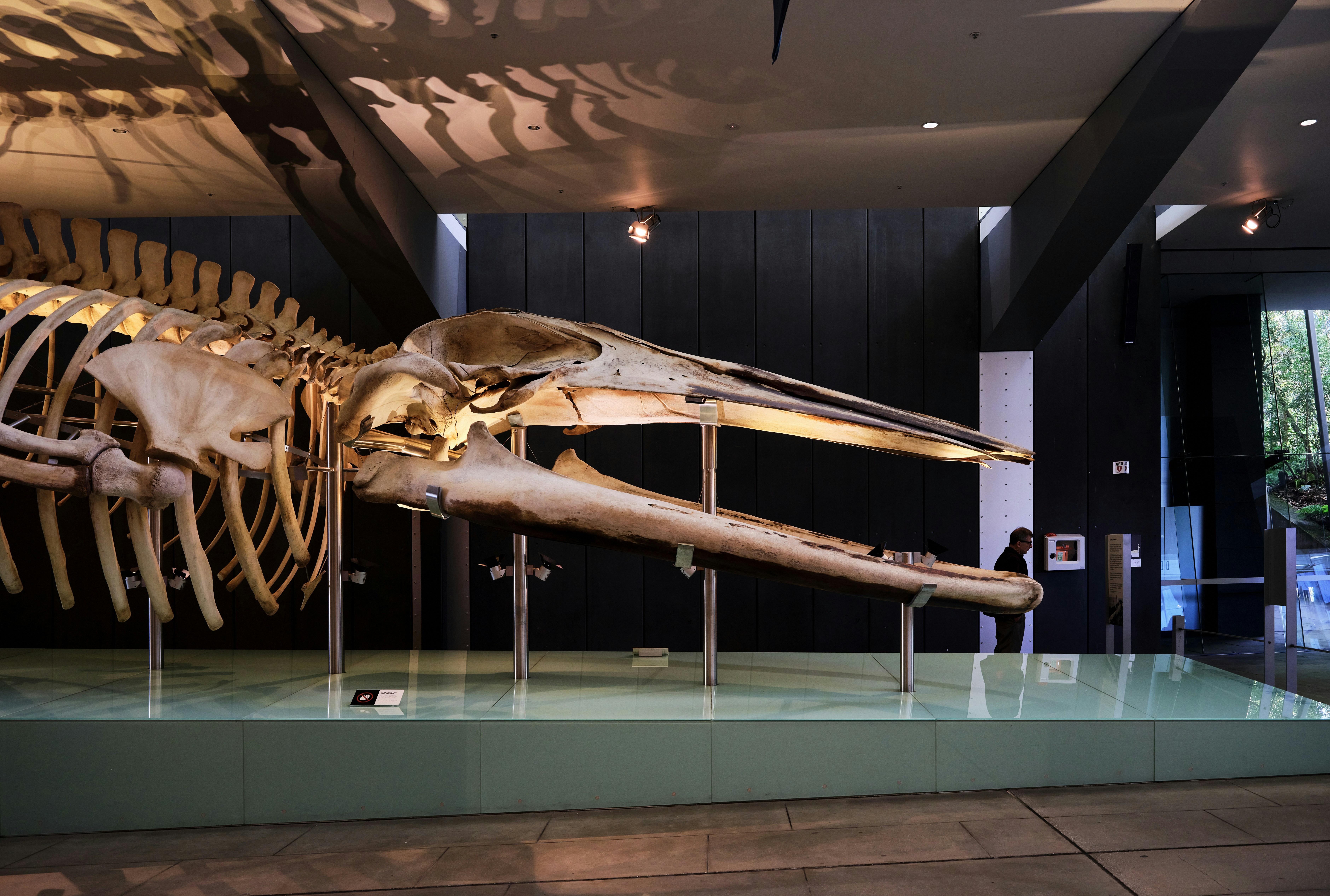 Photo by neonwangphotography