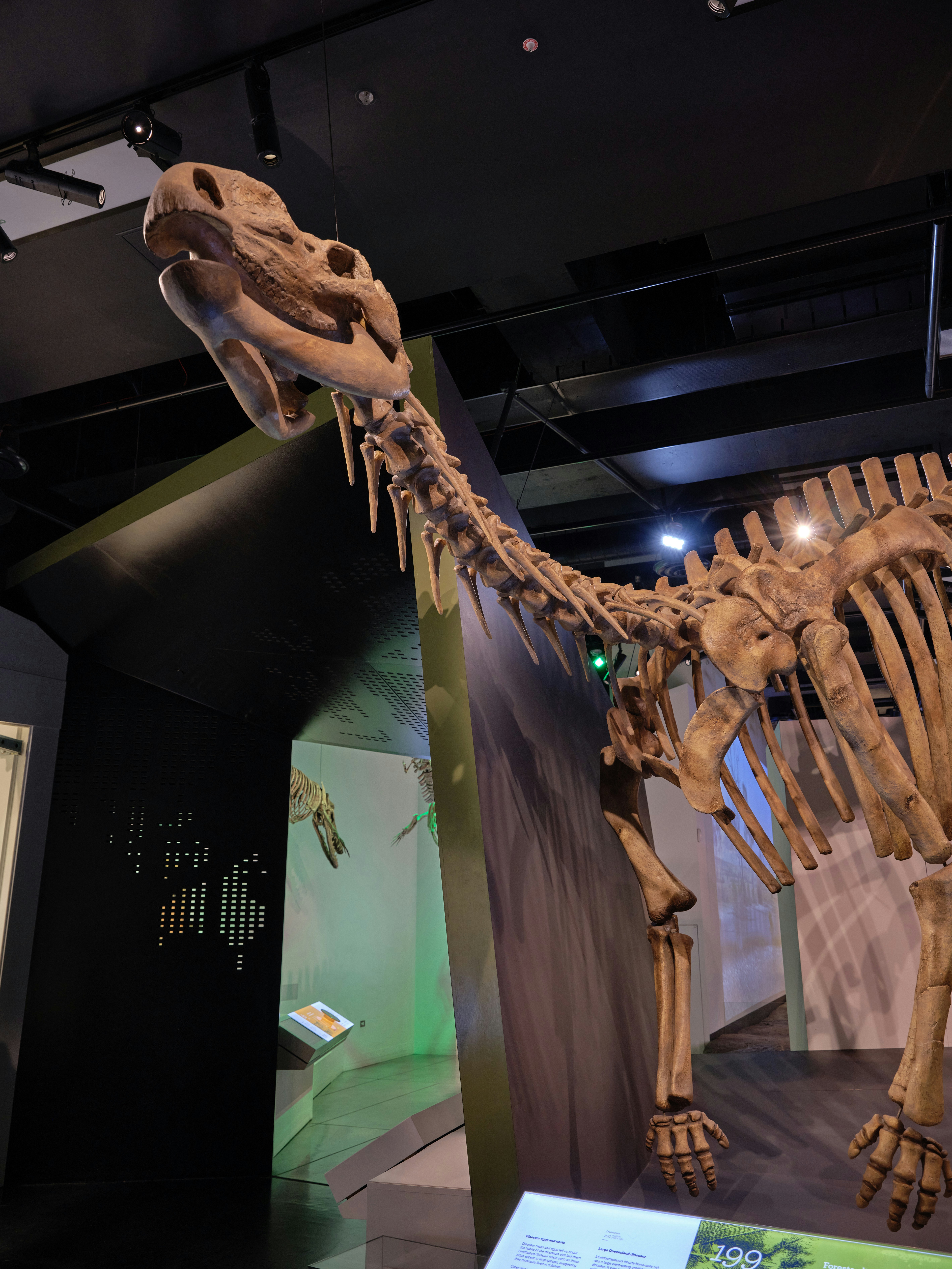 Photo by neonwangphotography