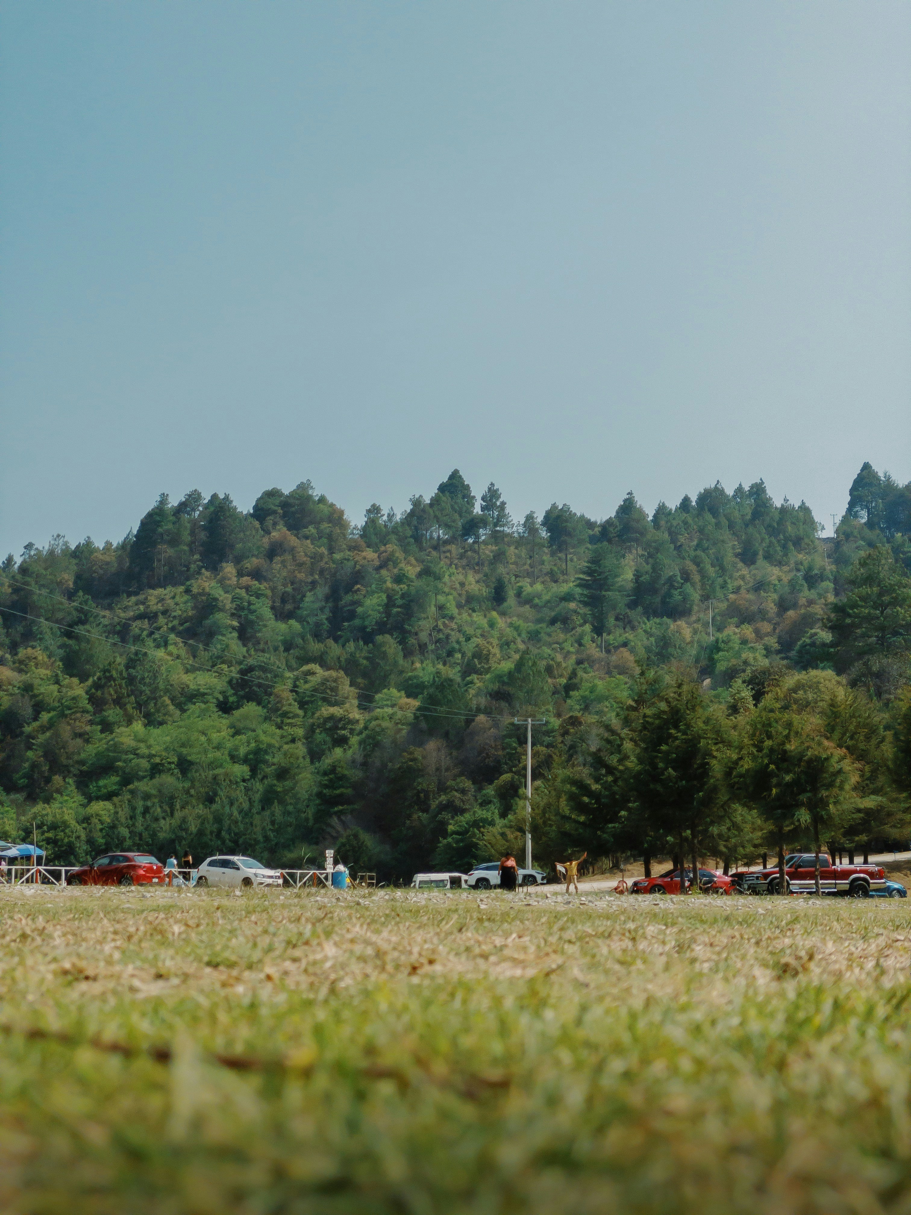 A field with cars parked in it and trees in the background