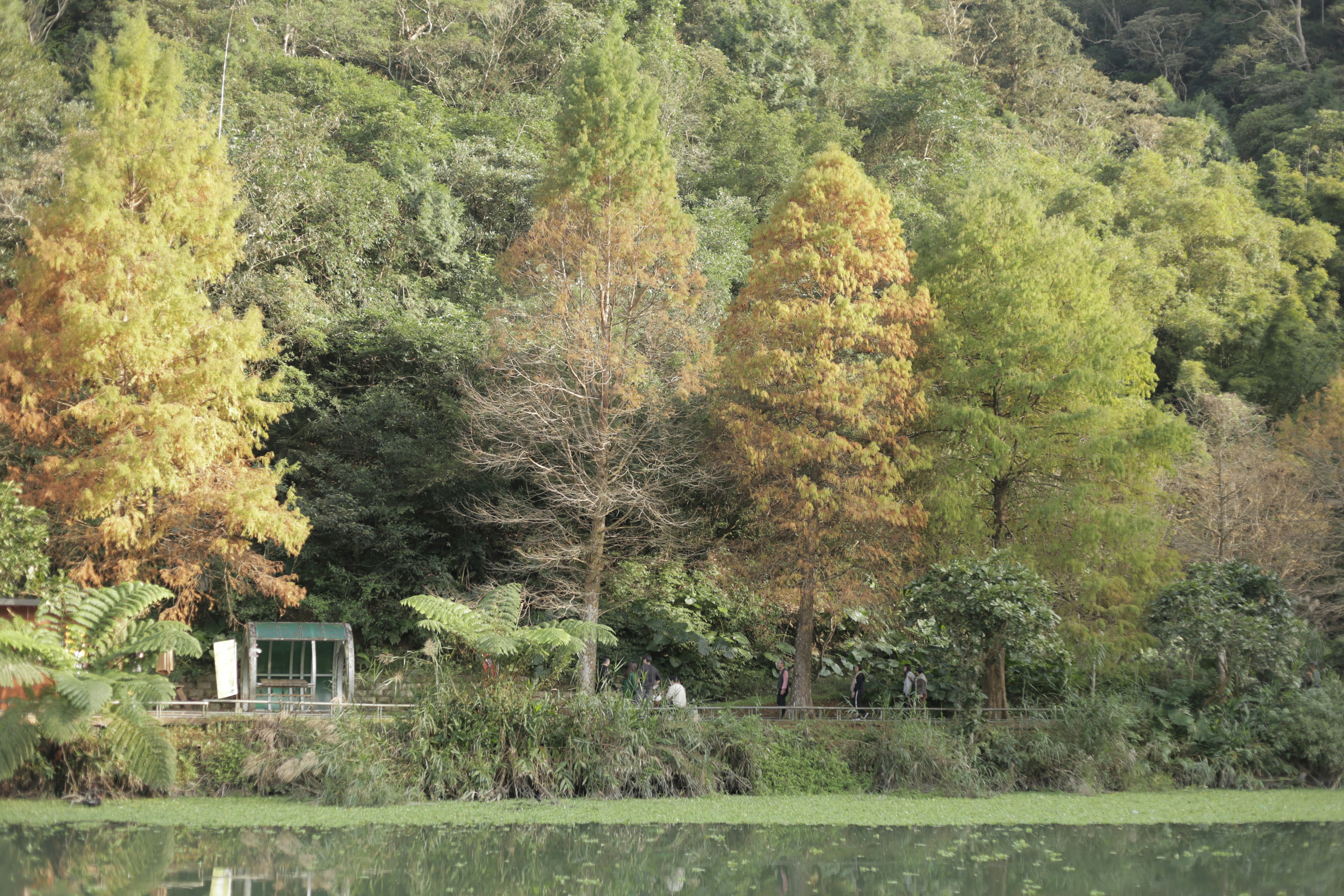 Photo by mclee