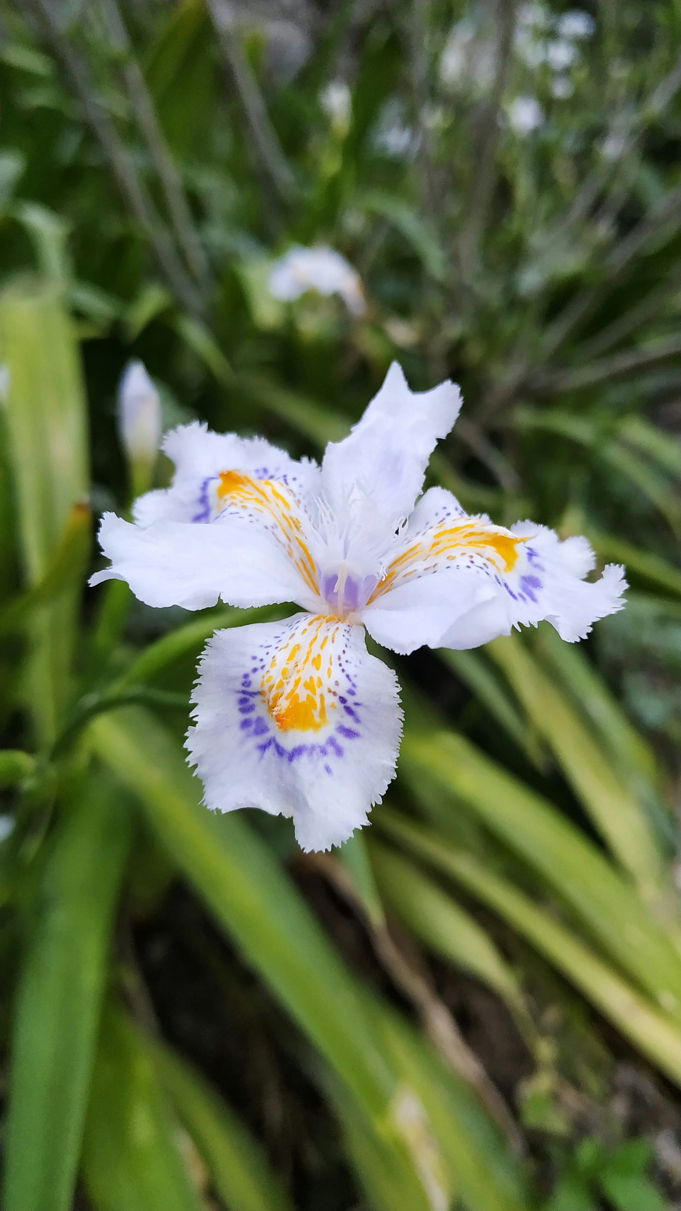 Photo by natureandmylens