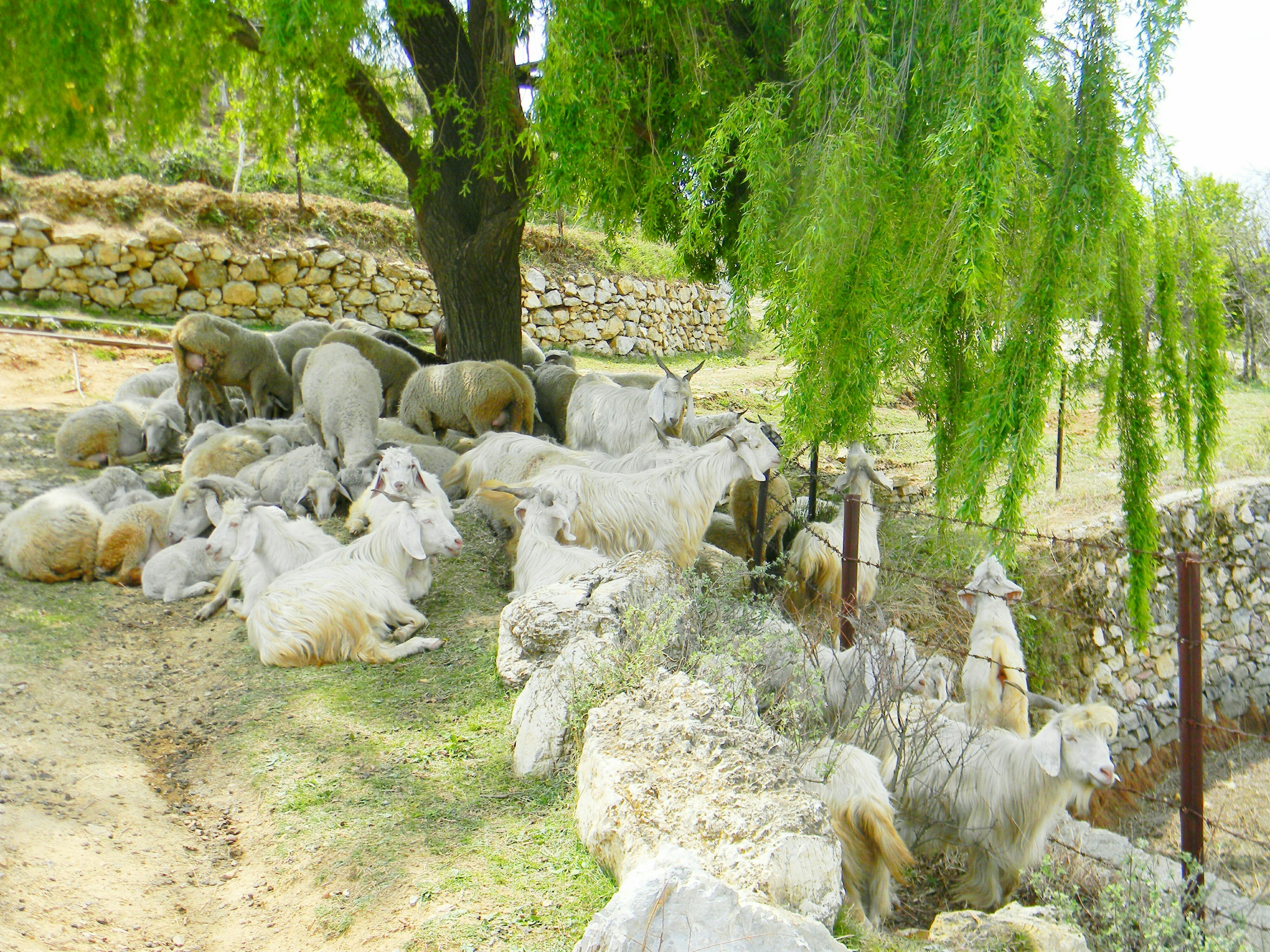 Photo by natureandmylens