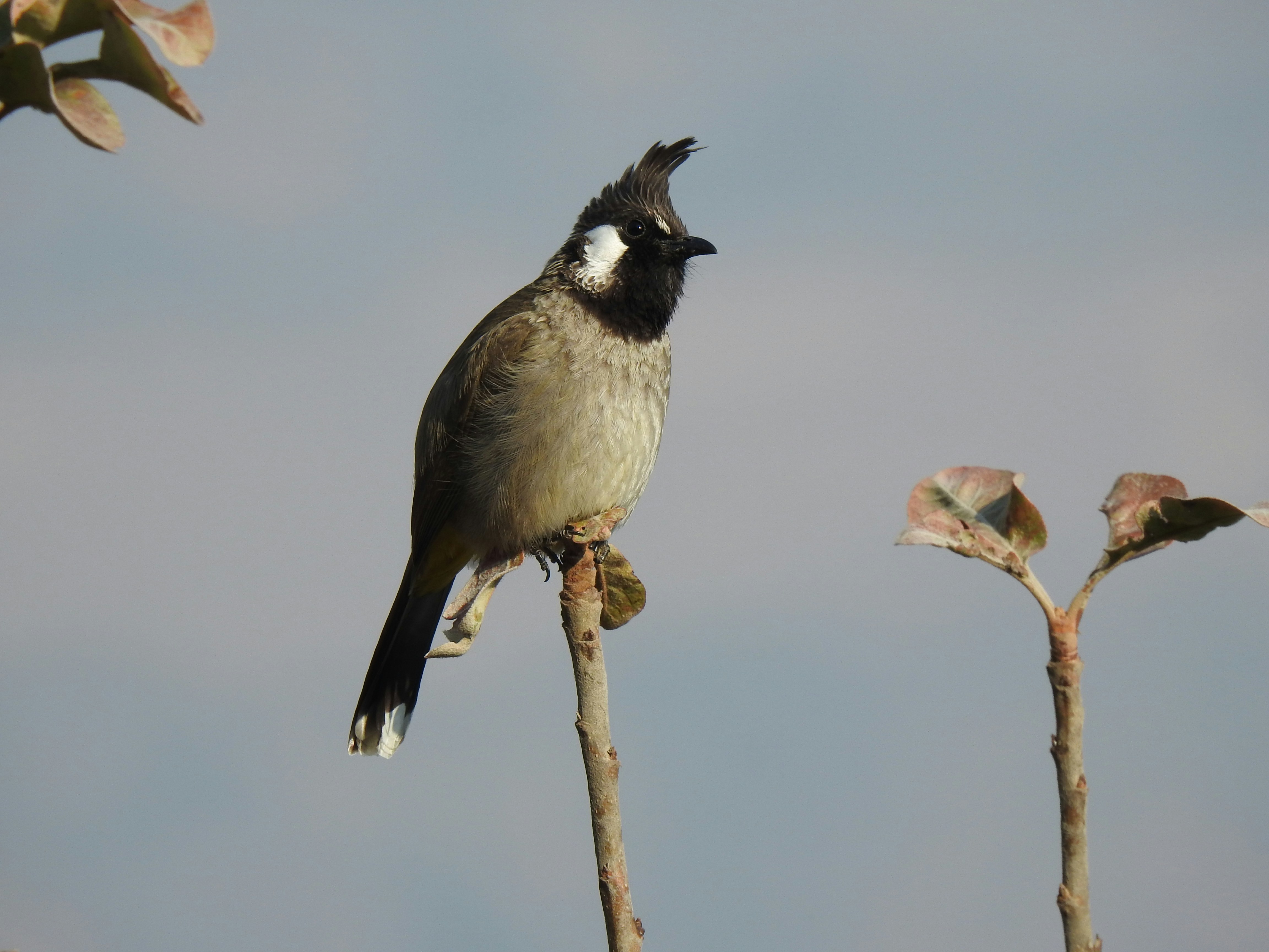 Photo by natureandmylens