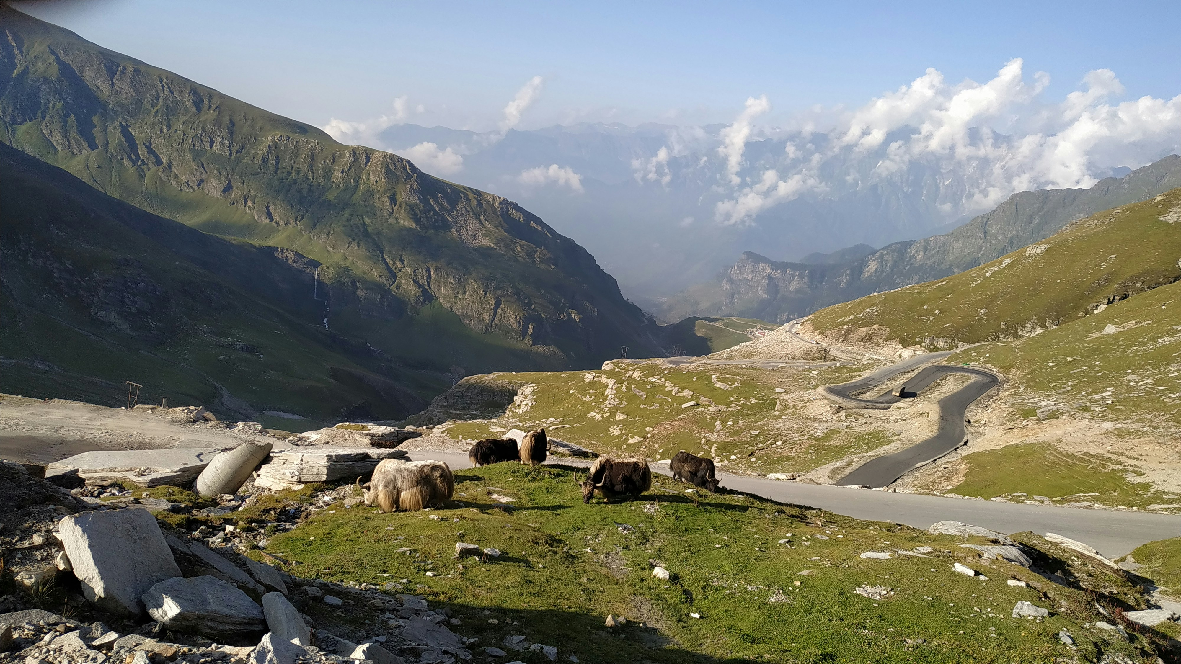 Photo by natureandmylens