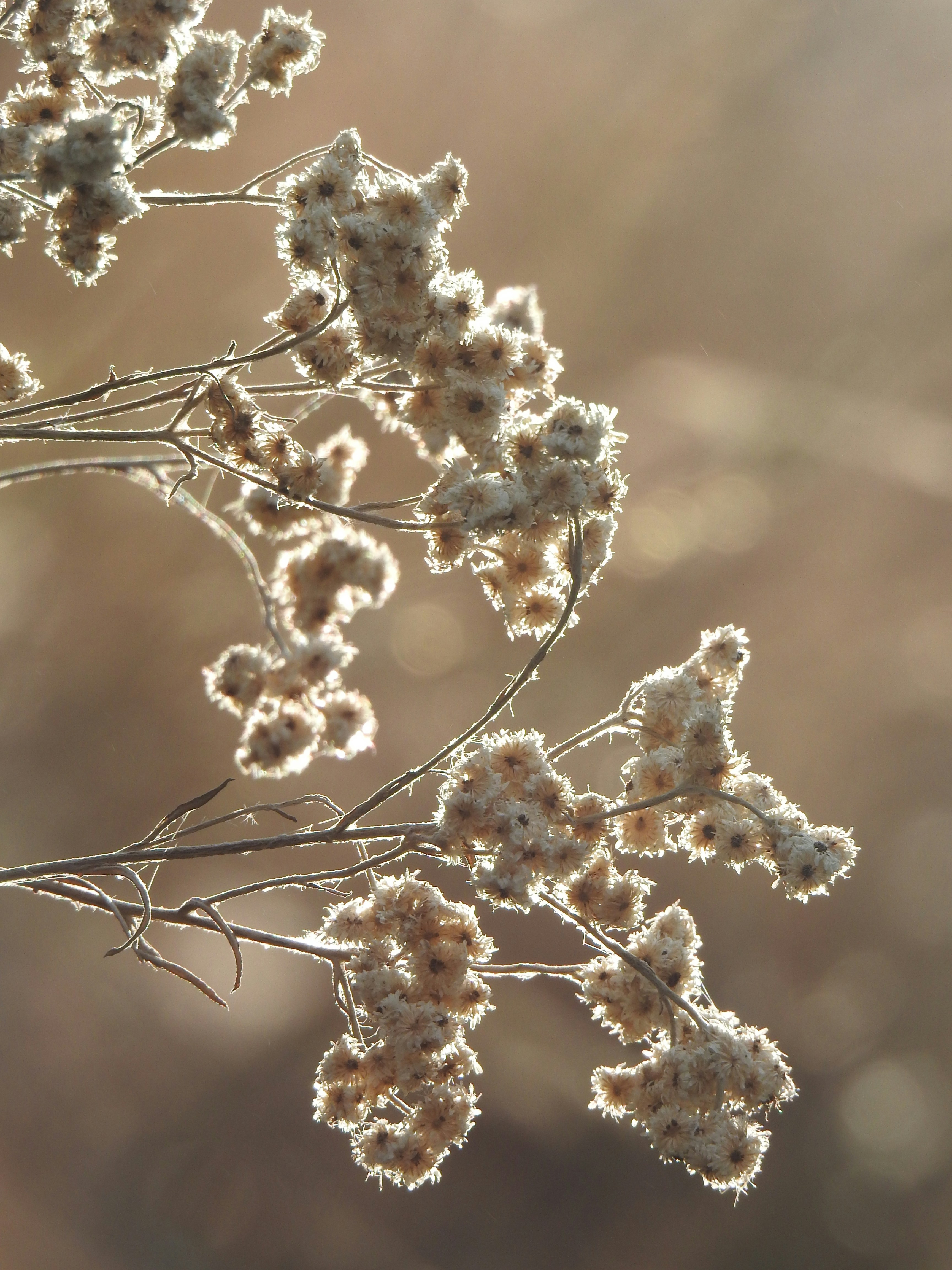 Photo by natureandmylens