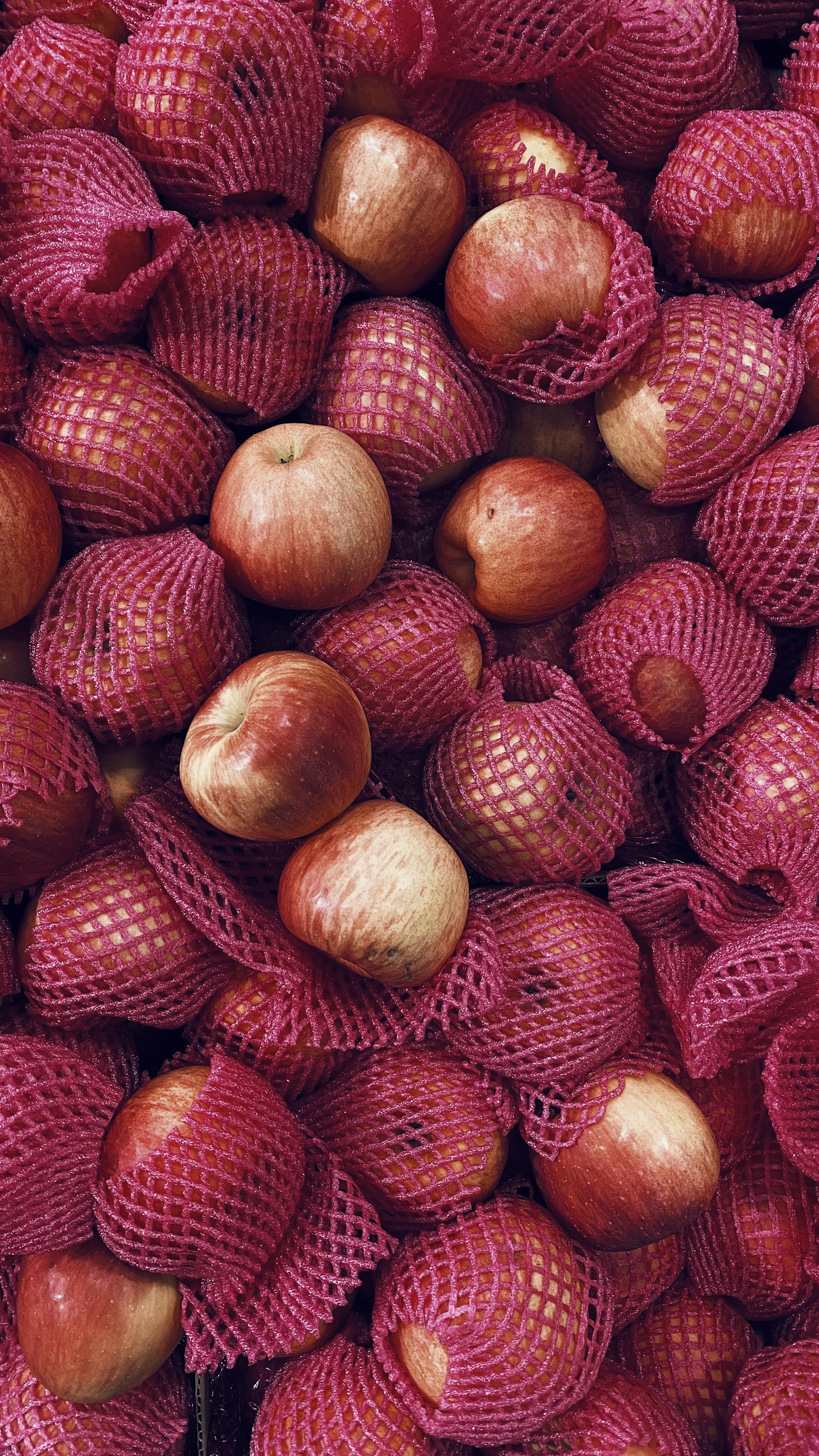 A large pile of red onions in mesh bags