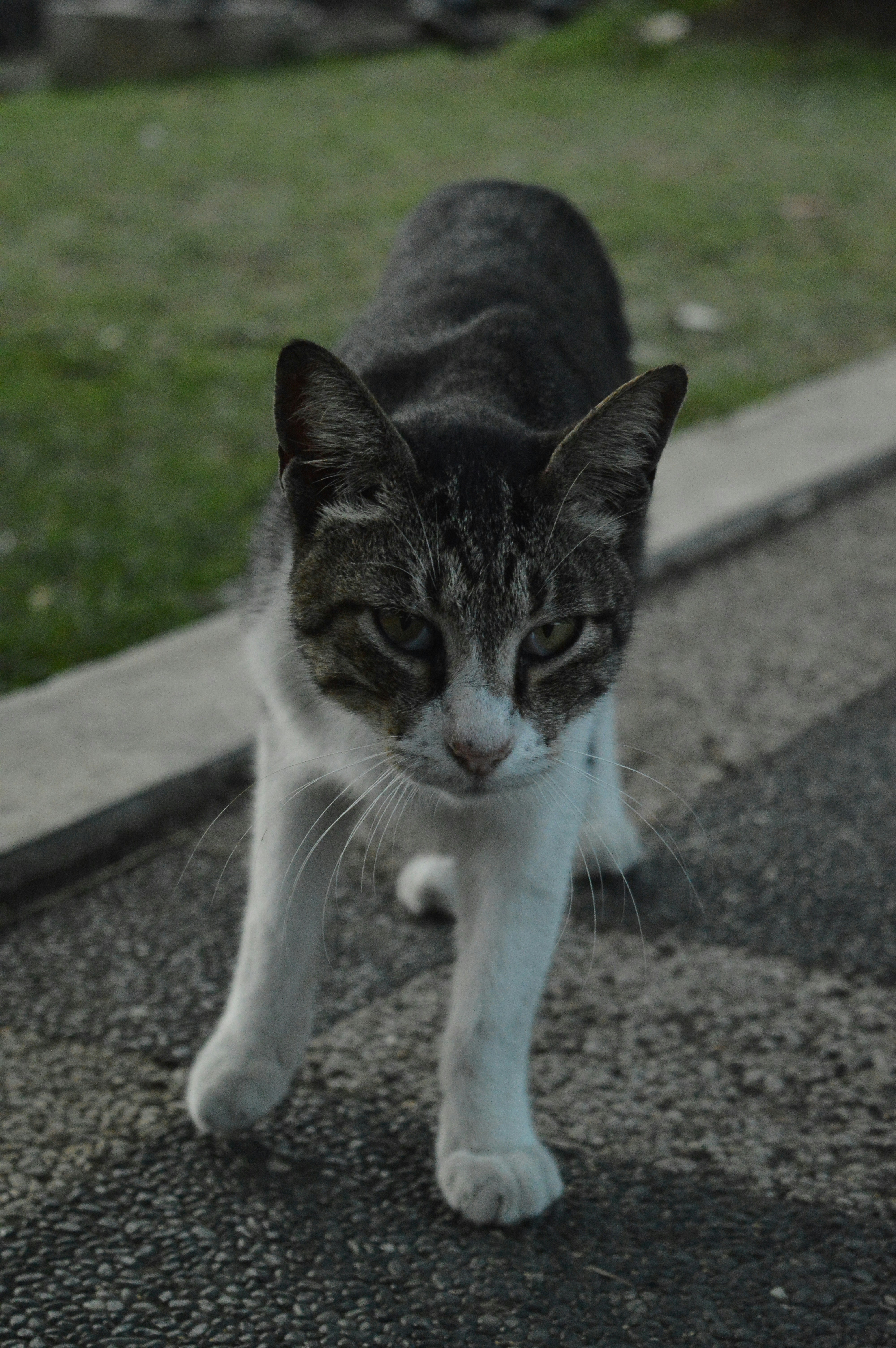 Photo by marcell_jpeg