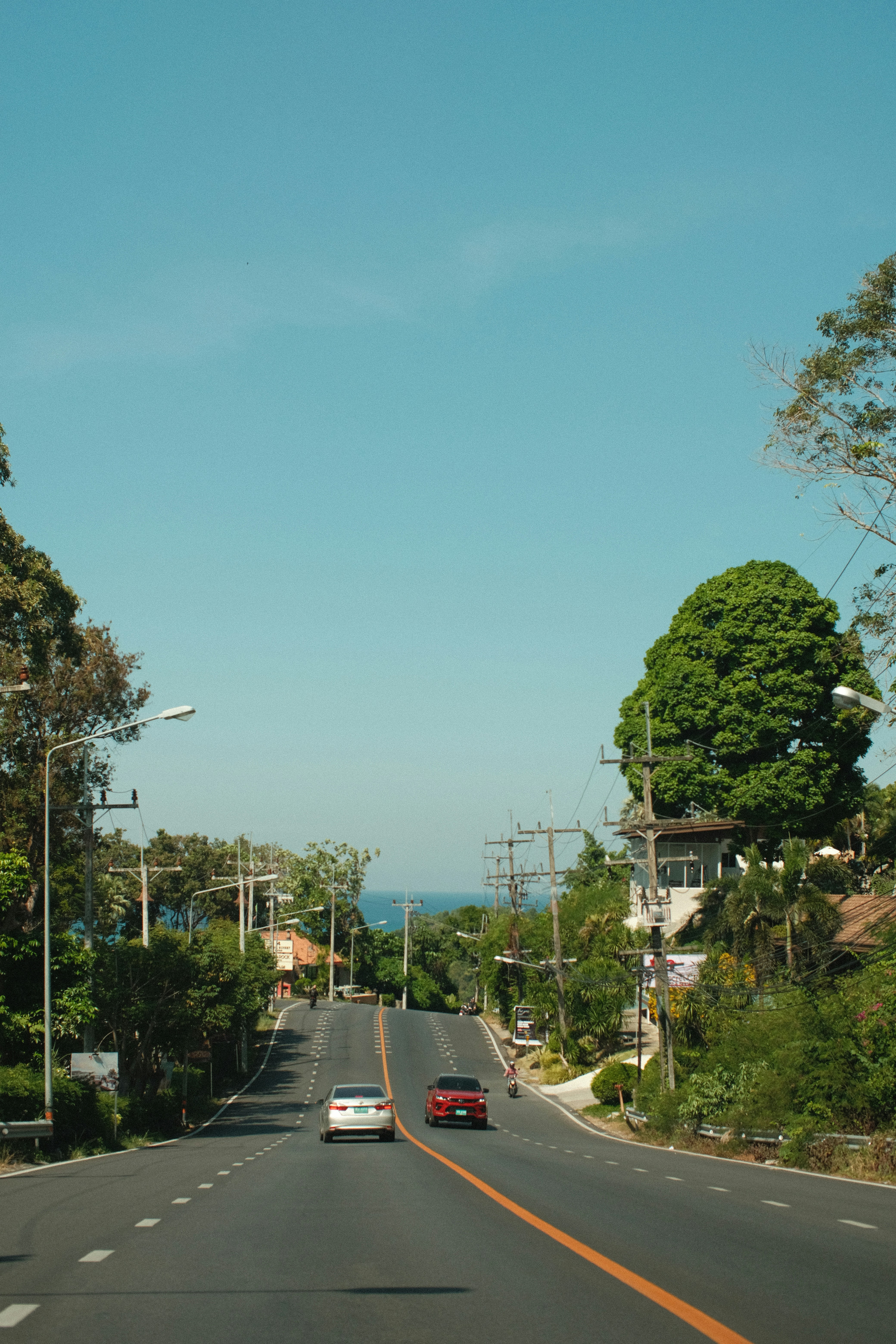 Photo by koshachiy_vizg