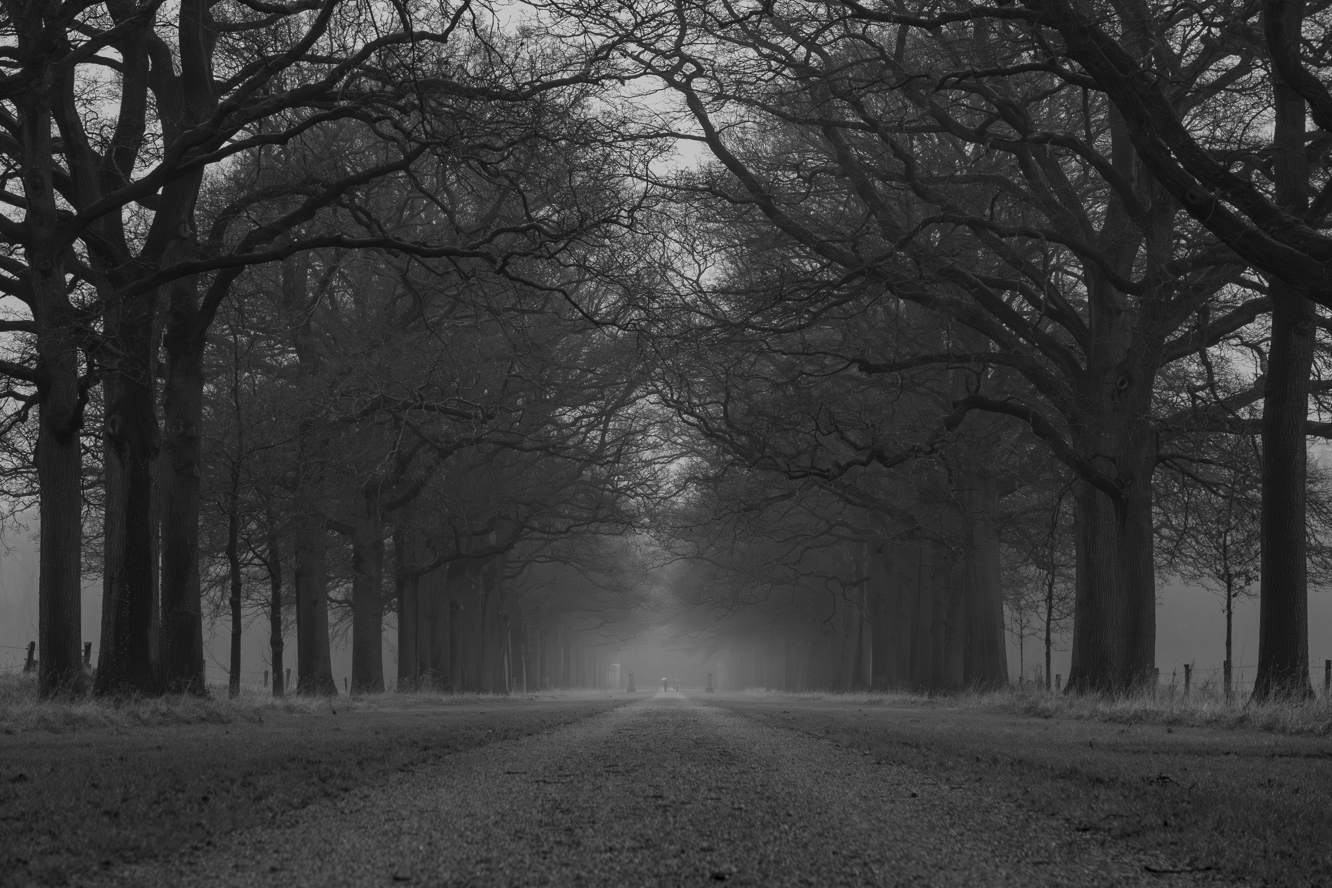 Afbeelding van Denekamp