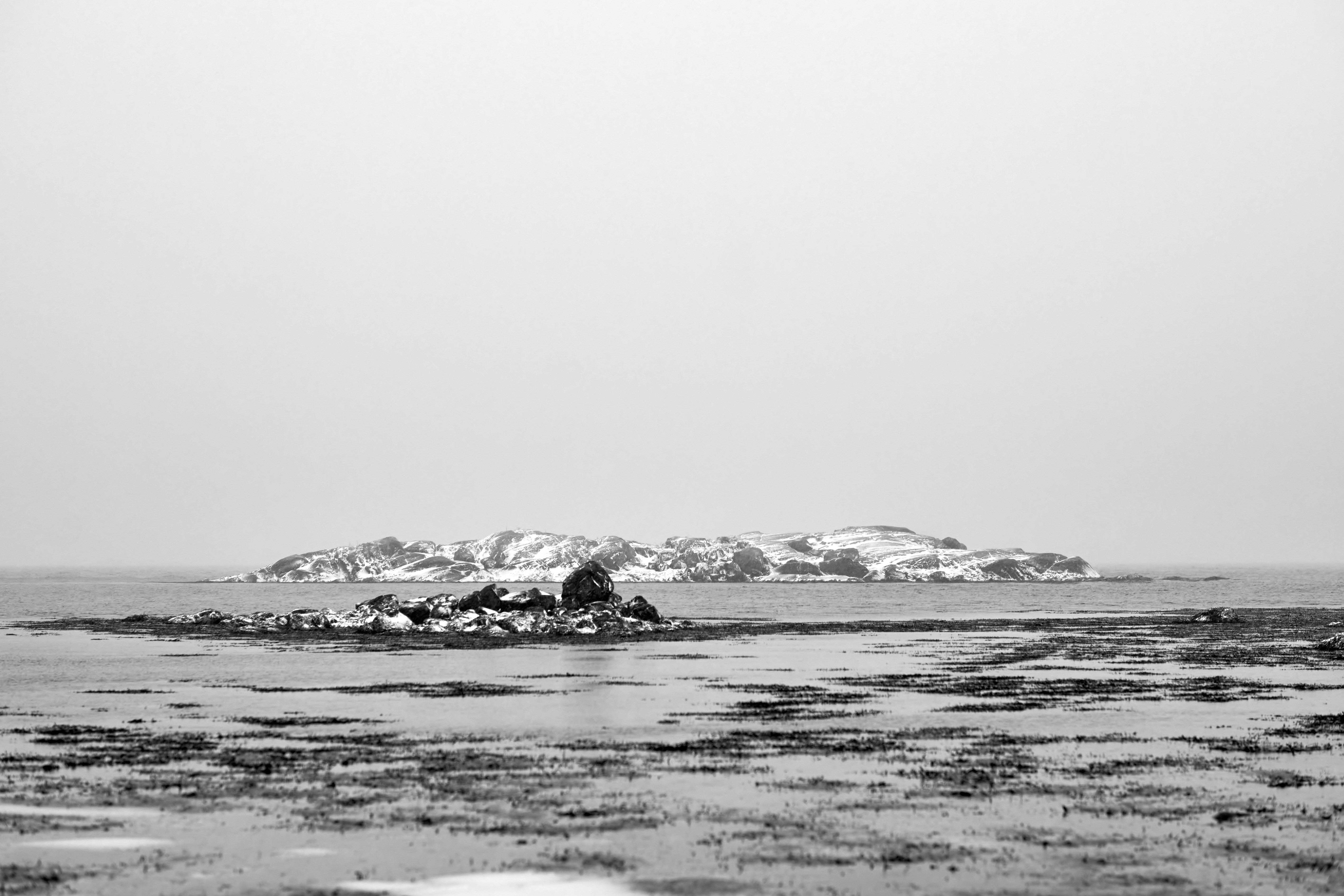 Photo by wolfgang_hasselmann