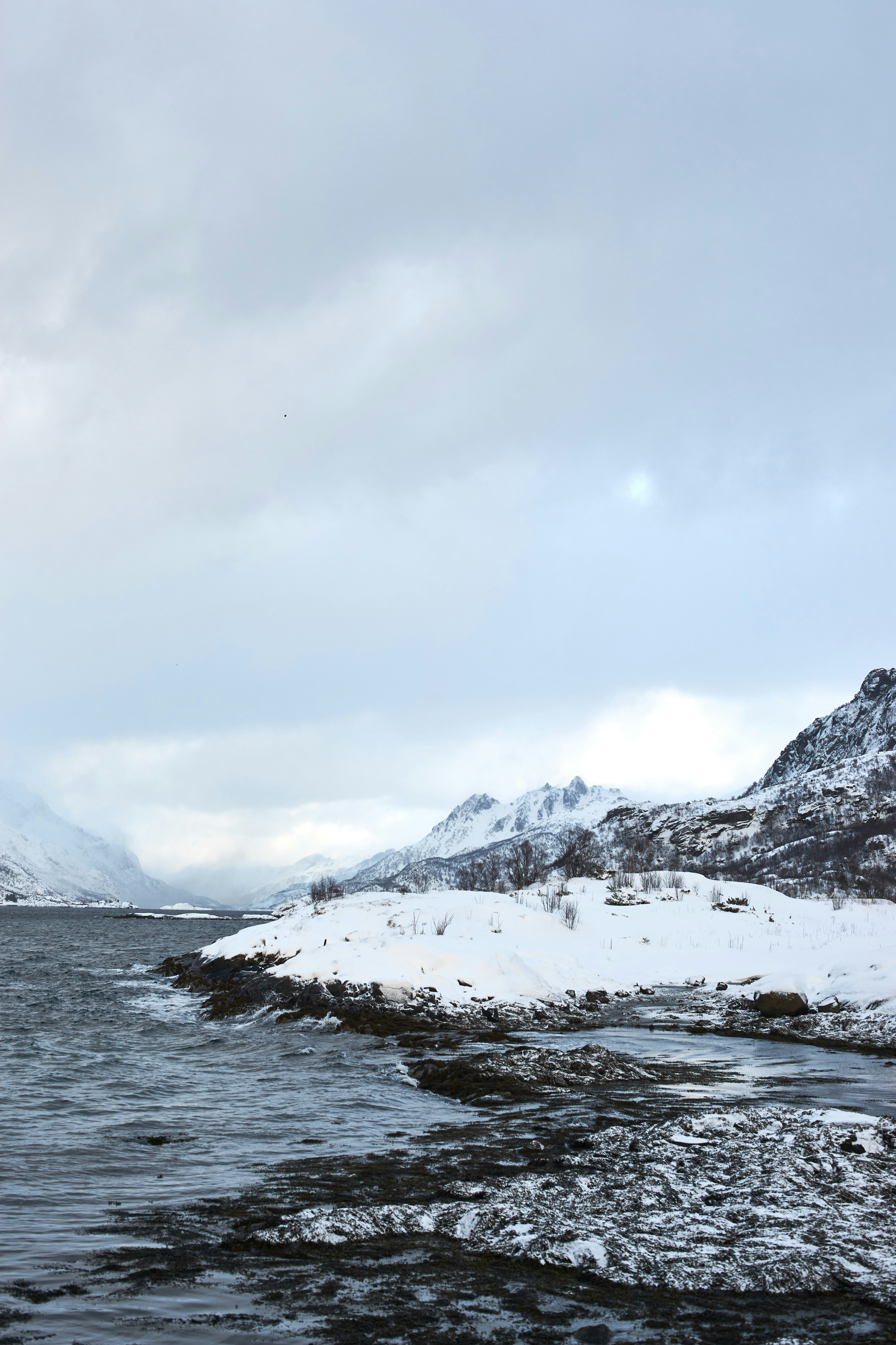 Photo by wolfgang_hasselmann