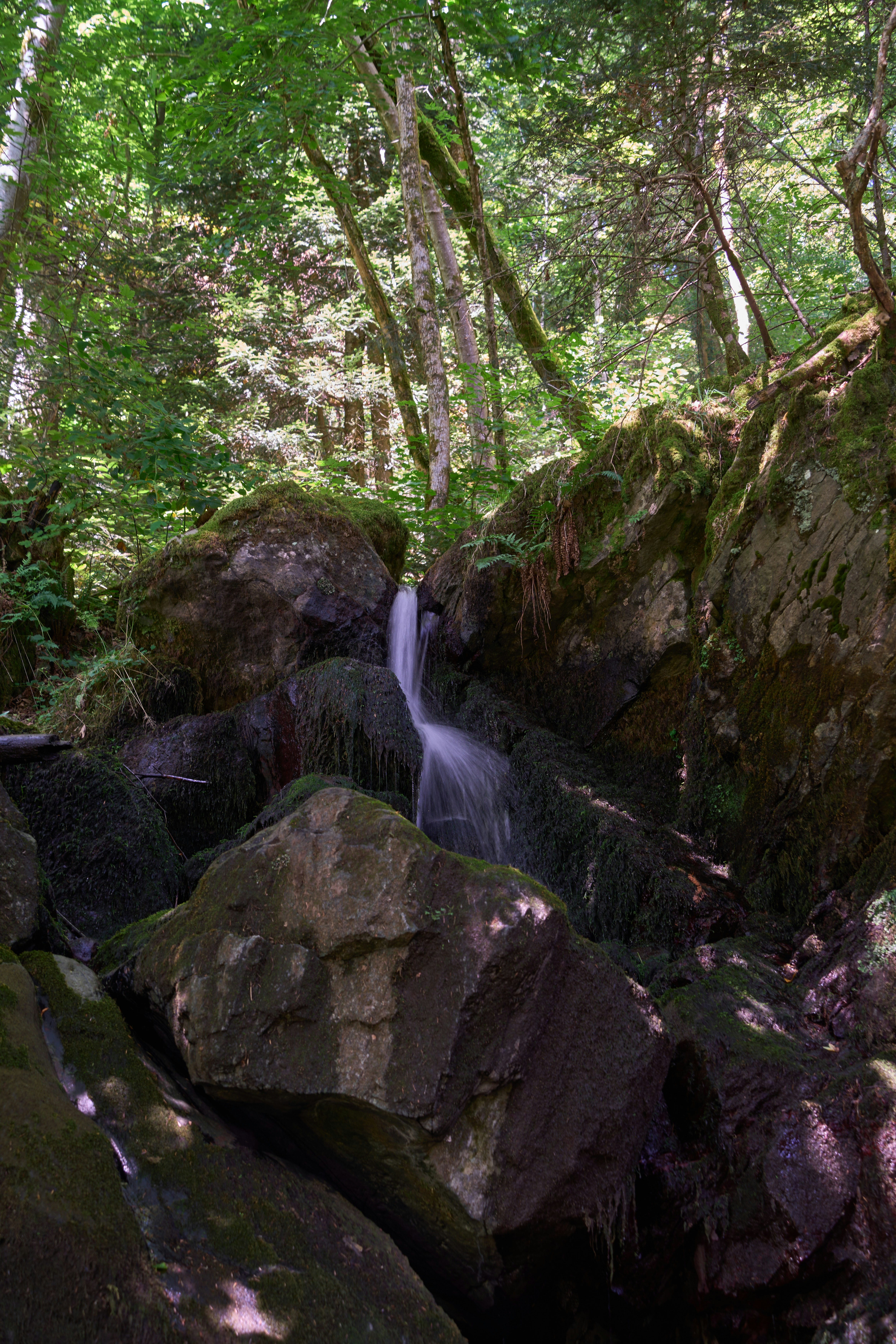 Photo by wolfgang_hasselmann