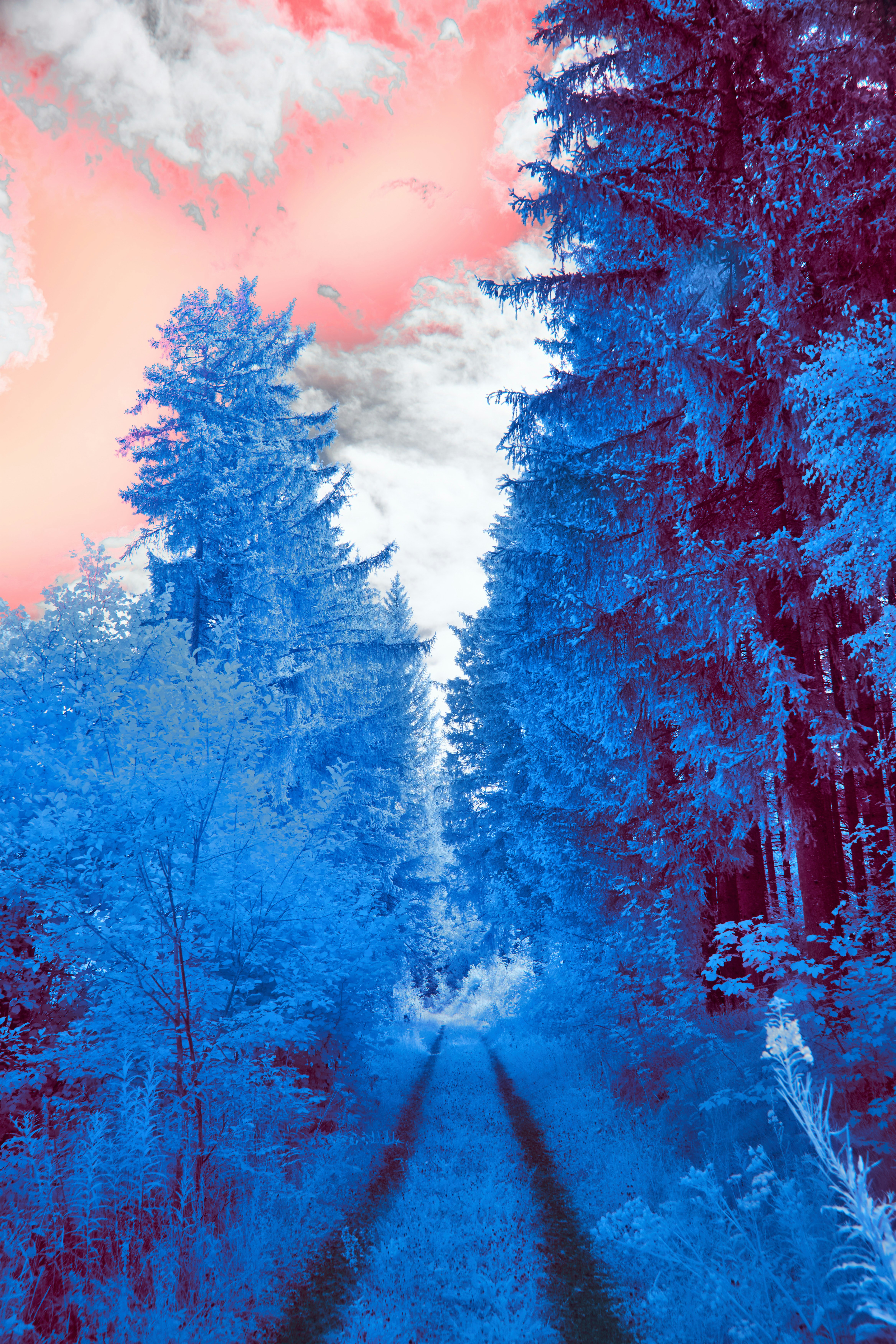 Photo by wolfgang_hasselmann