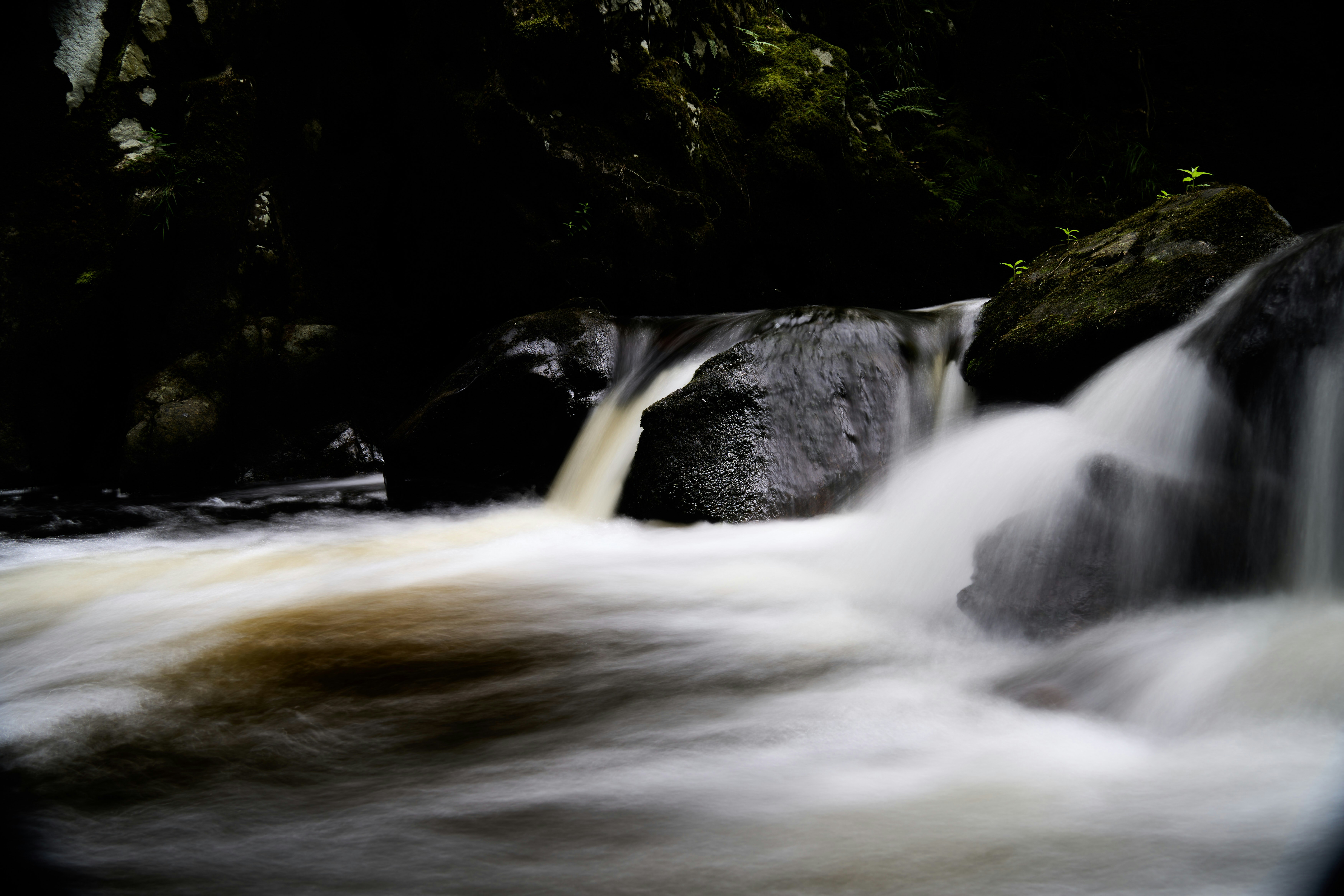 Photo by wolfgang_hasselmann