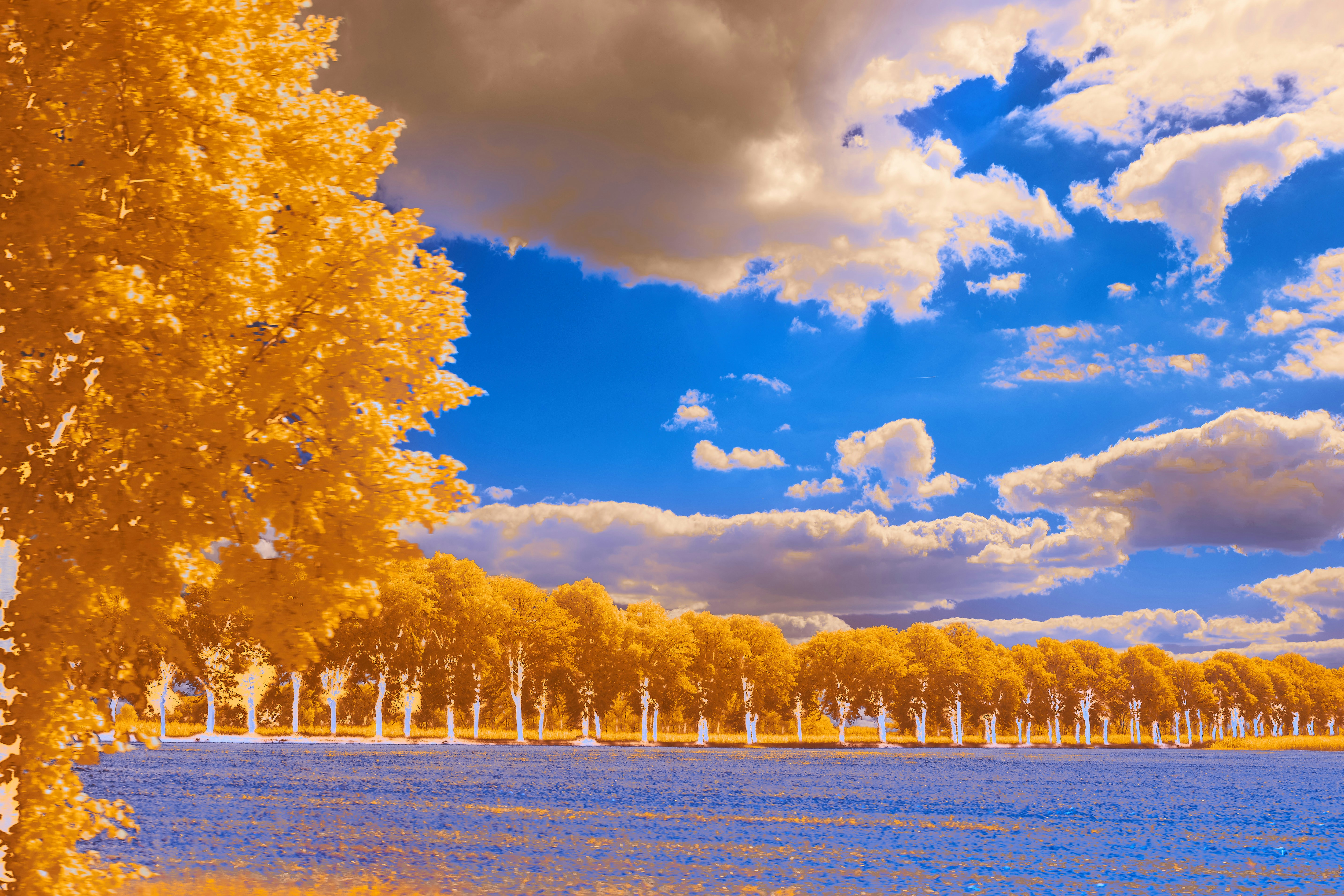 Photo by wolfgang_hasselmann