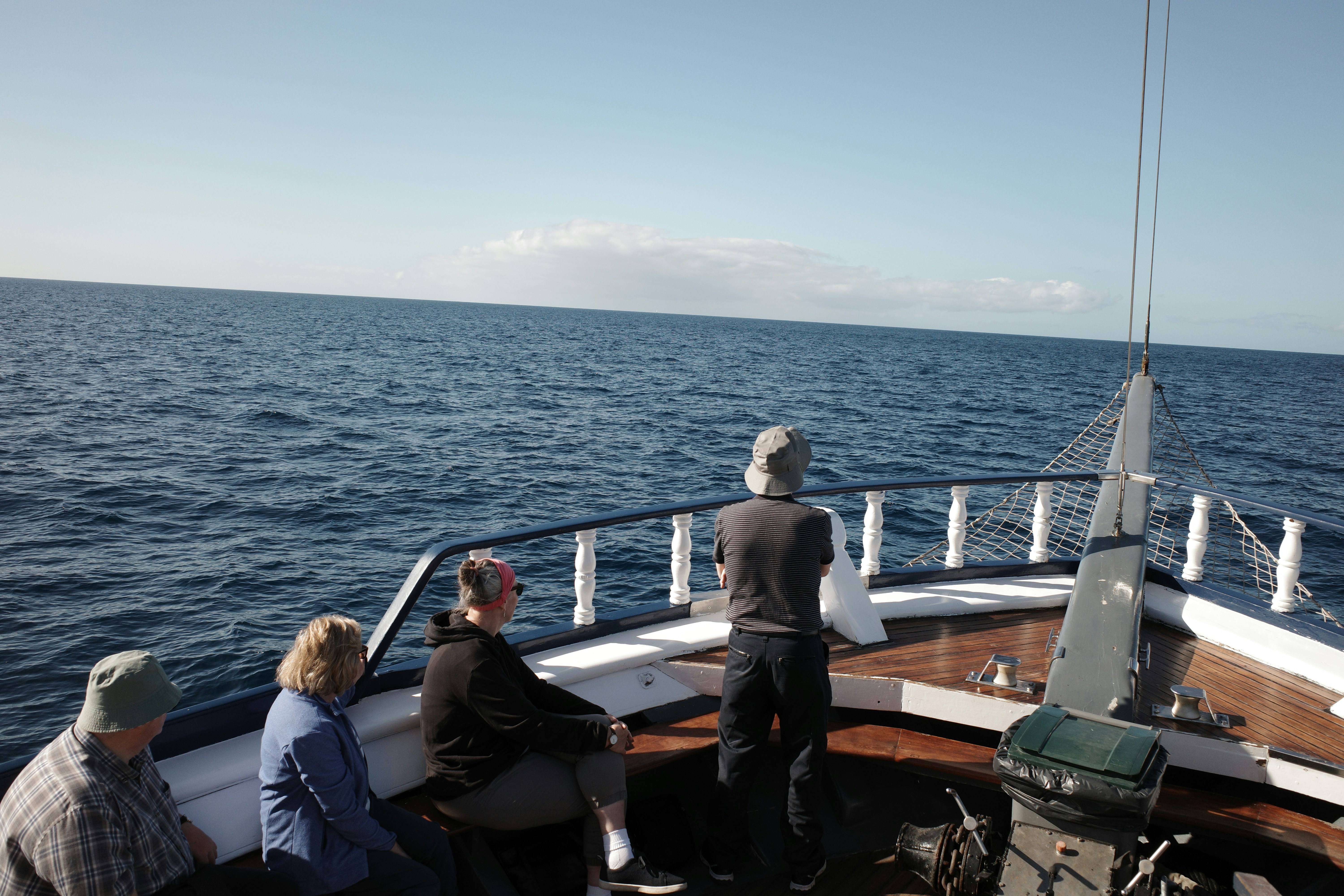 photo-1736930714222-8da9a37c2d57?ixid=M3wxMjA3fDB8MXxzZWFyY2h8NHx8JUU3JUE2JThGJUU1JTg1JThCJUU4JTk4JUFEJUU3JUJFJUE0JUU1JUIzJUI2JUU1JUI3JUE1JUU0JUJEJTlDJUU1JUIwJThGJUU3JUI1JTg0JUU3JUFDJUFDJUU0JUI4JTgwJUU2JUFDJUExJUU2JTlDJTgzJUU4JUFEJUIwfGVufDB8fHx8MTc0ODY5OTIyNHww\u0026ixlib=rb-4.1.0