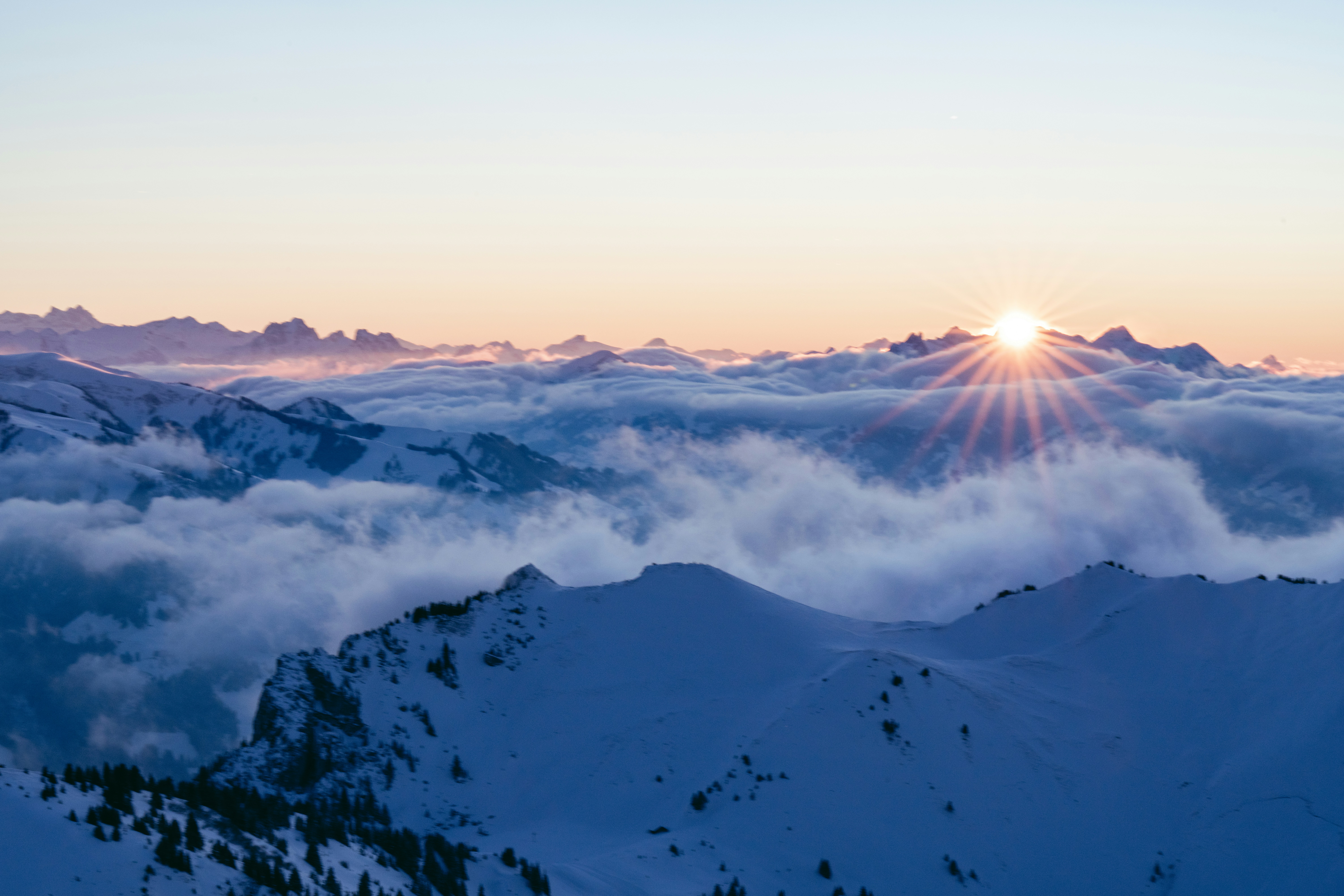 Photo by liviaphotographs