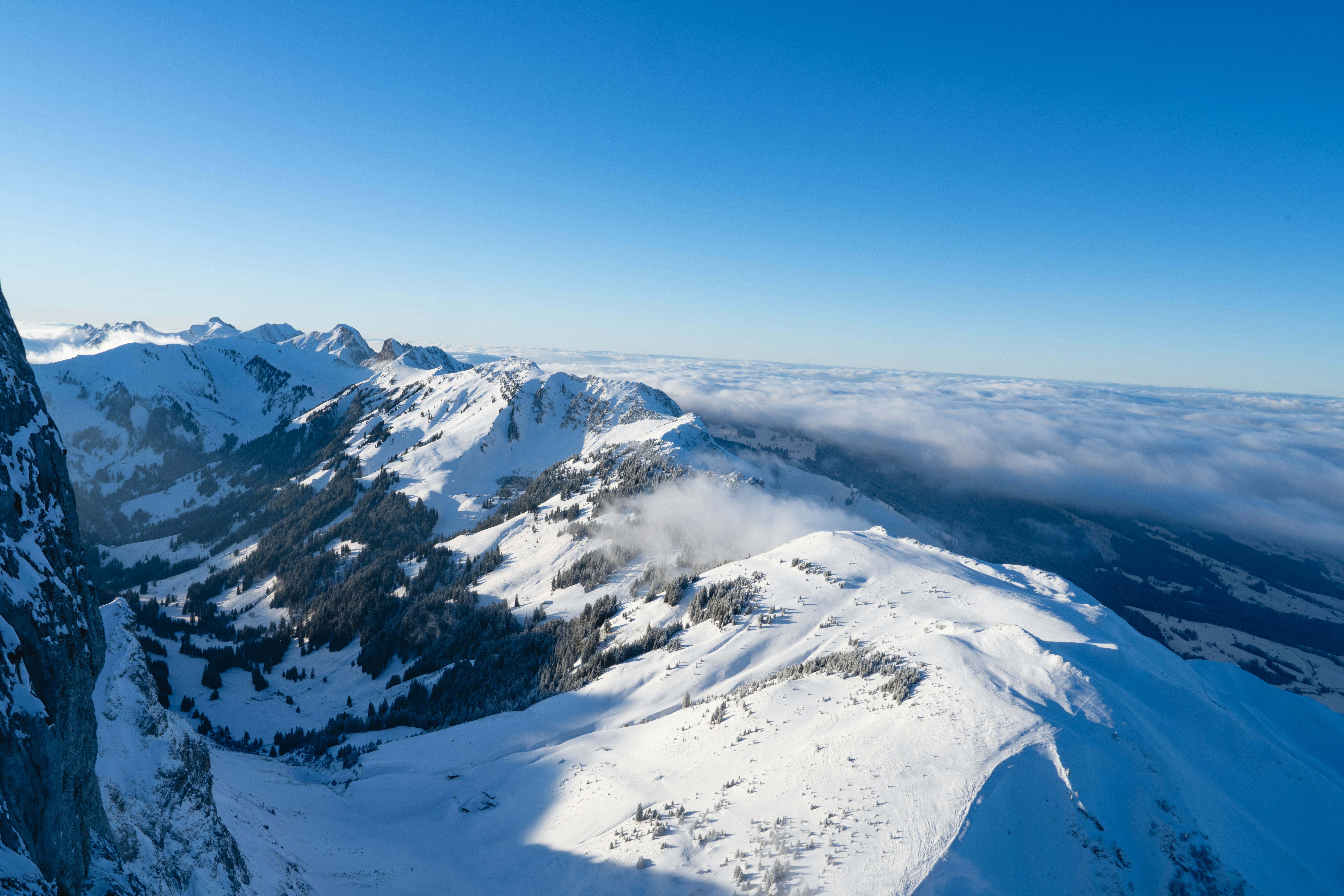 Photo by liviaphotographs