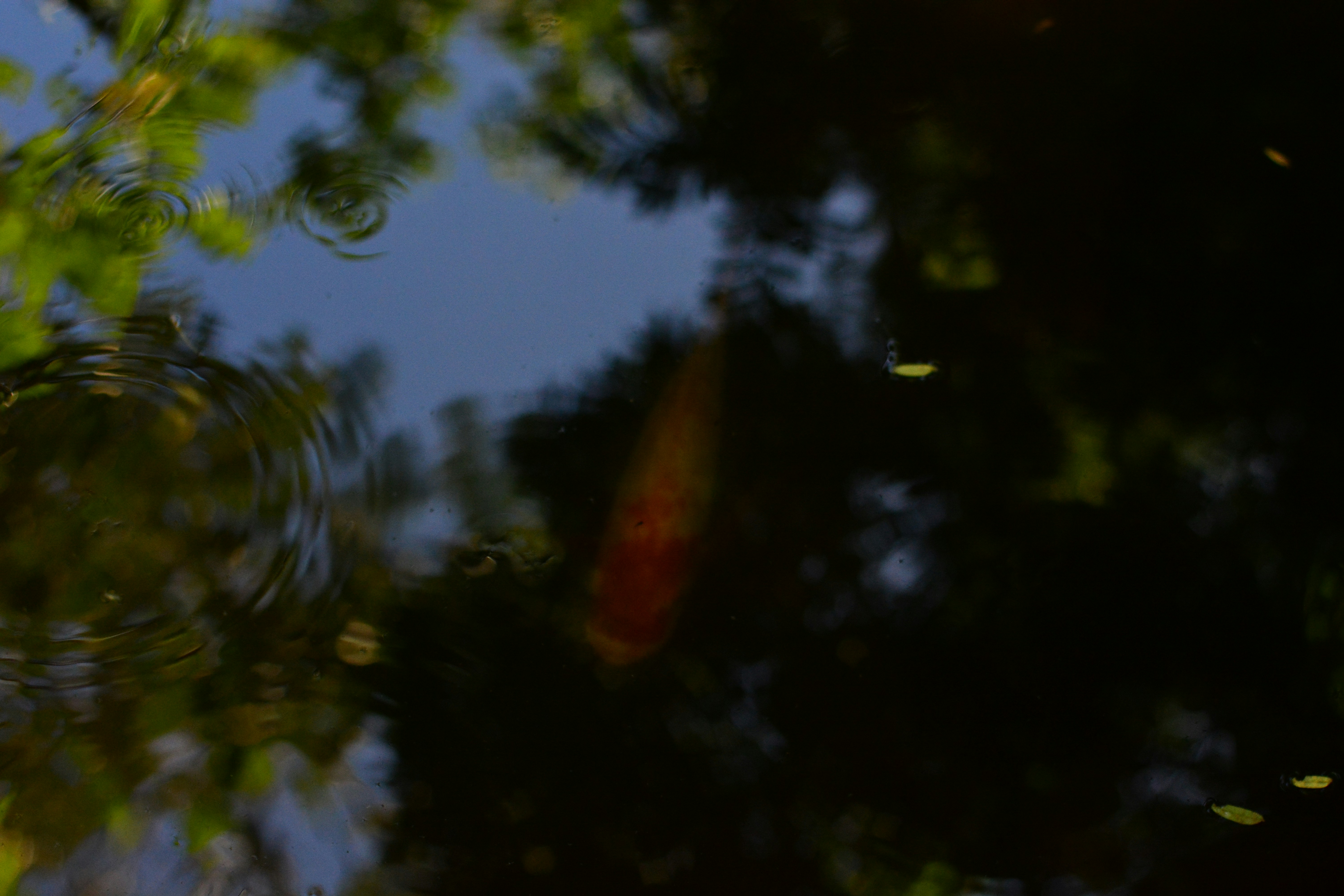 Photo by rrajputphotography