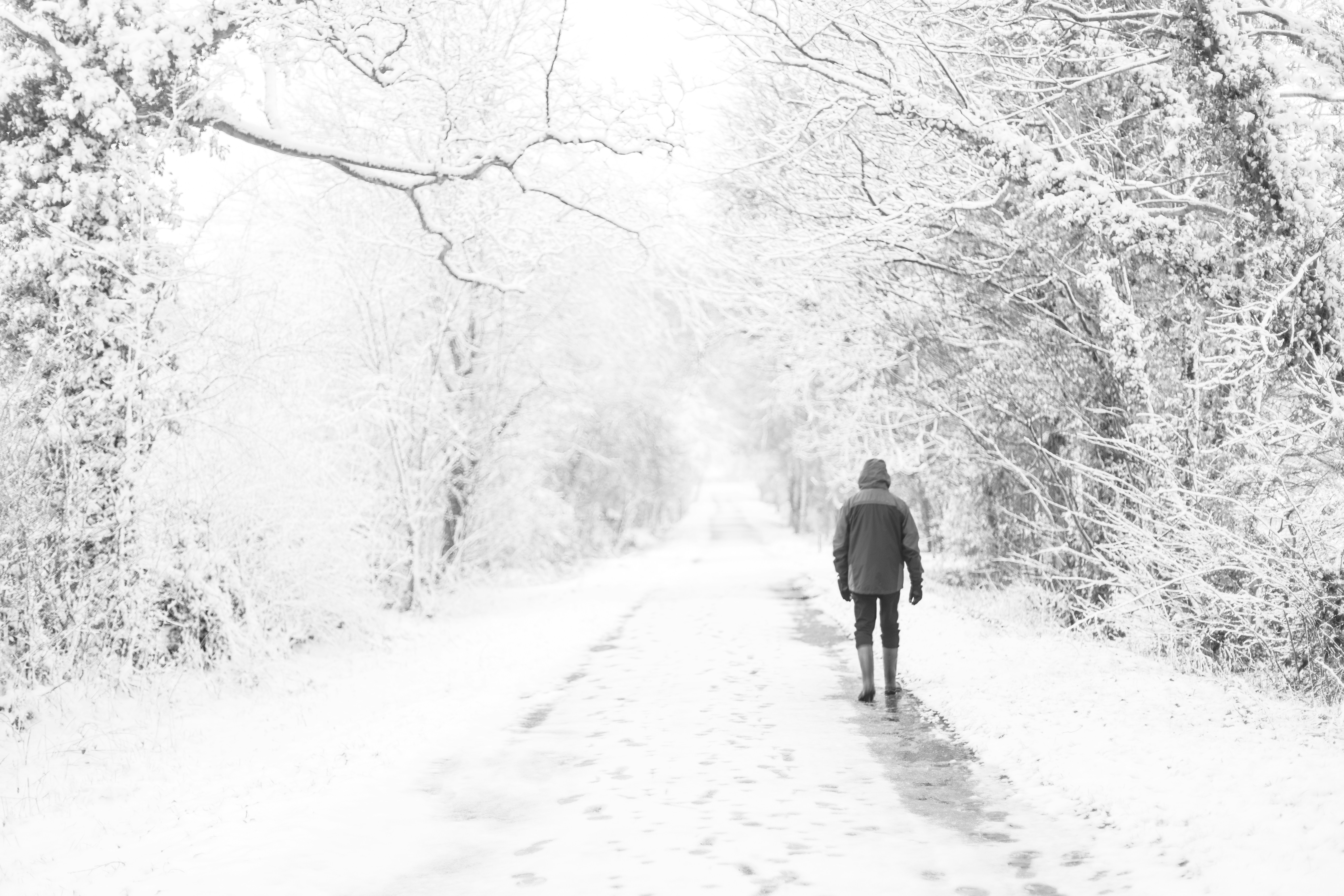 Photo by nataliekinnear