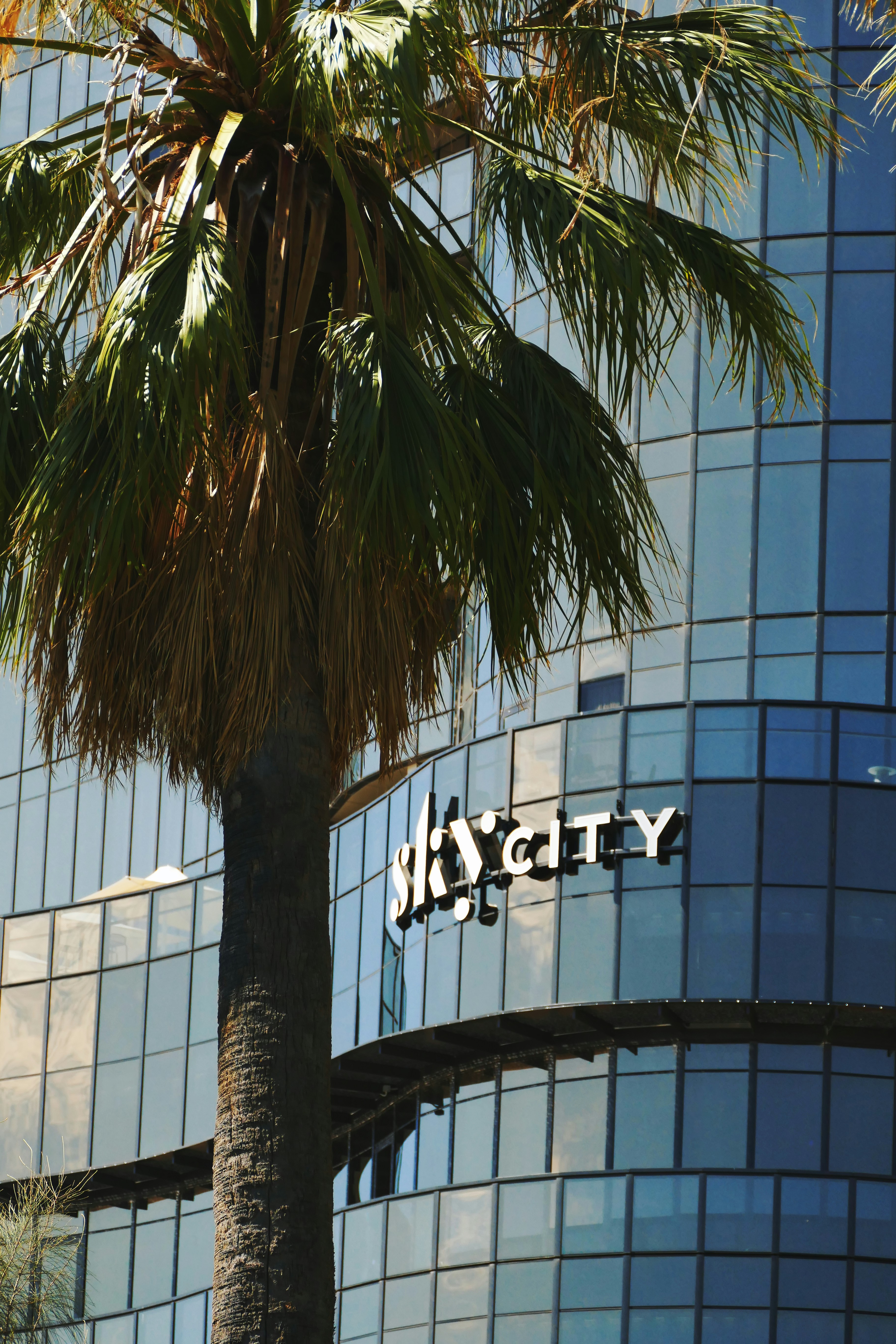 Stifel Maintains Buy on Wynn Resorts, Raises Price Target to $145