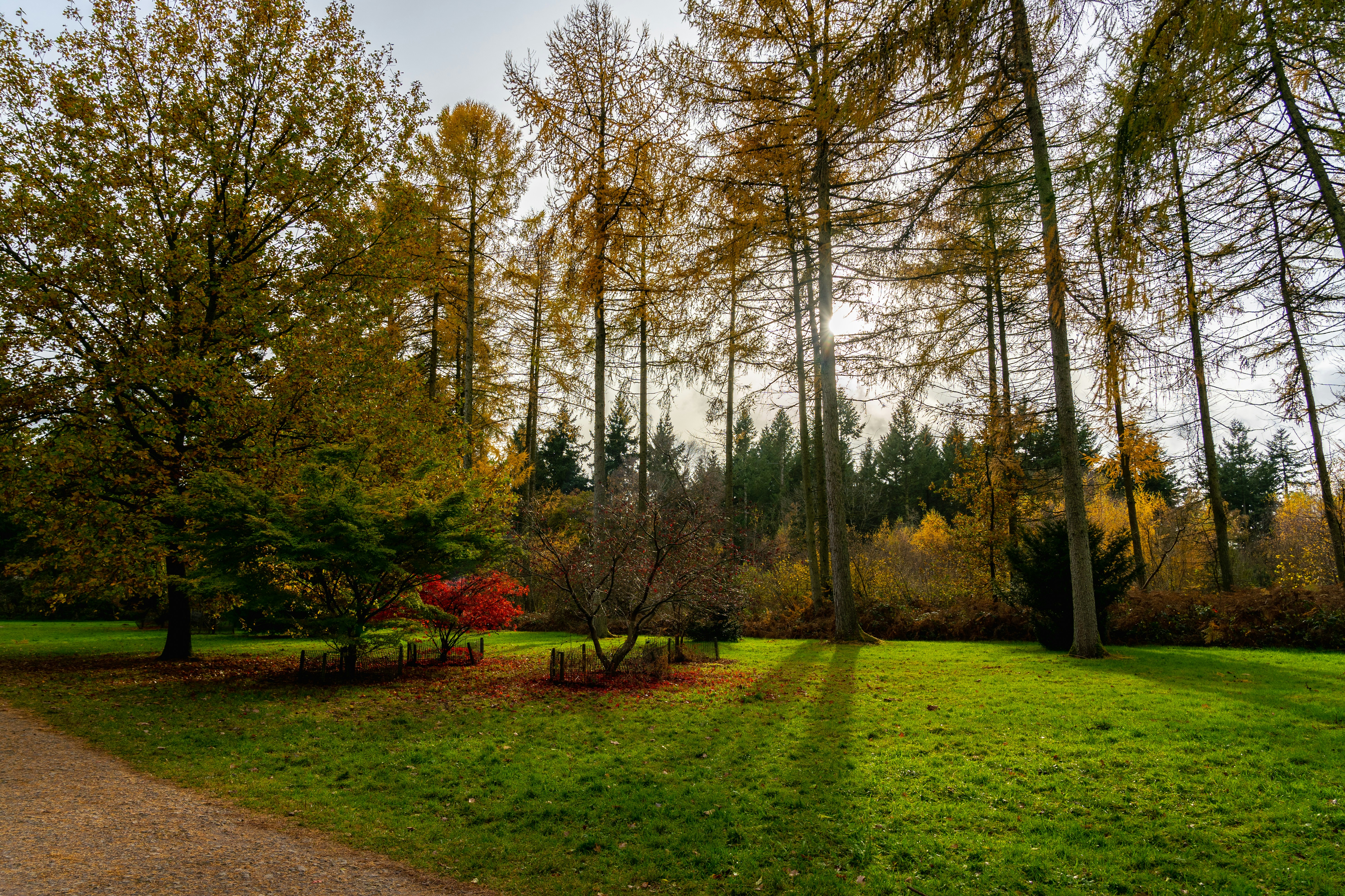 Photo by hannahharbour