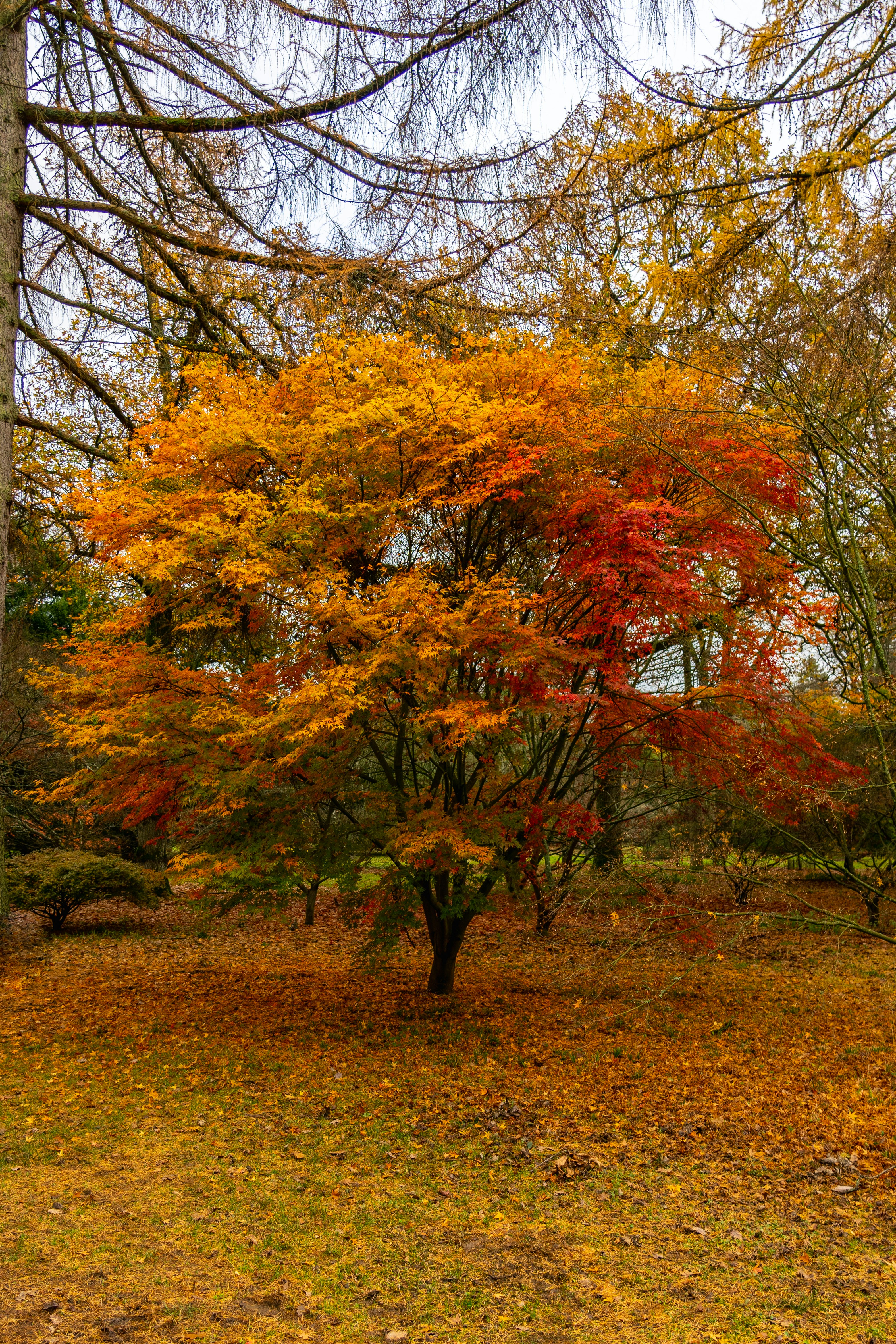 Photo by hannahharbour