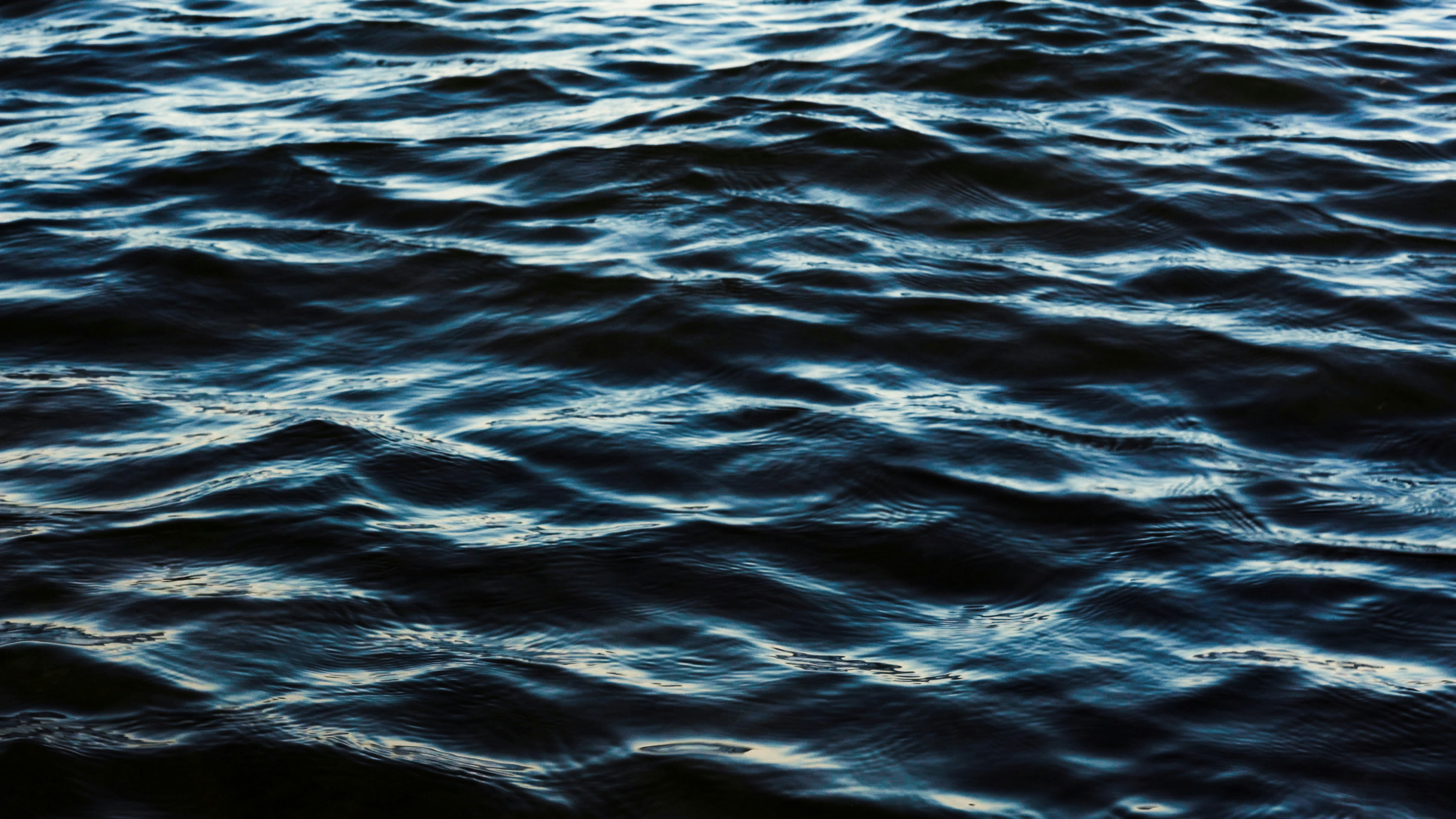 Photo by stefaniejockschat