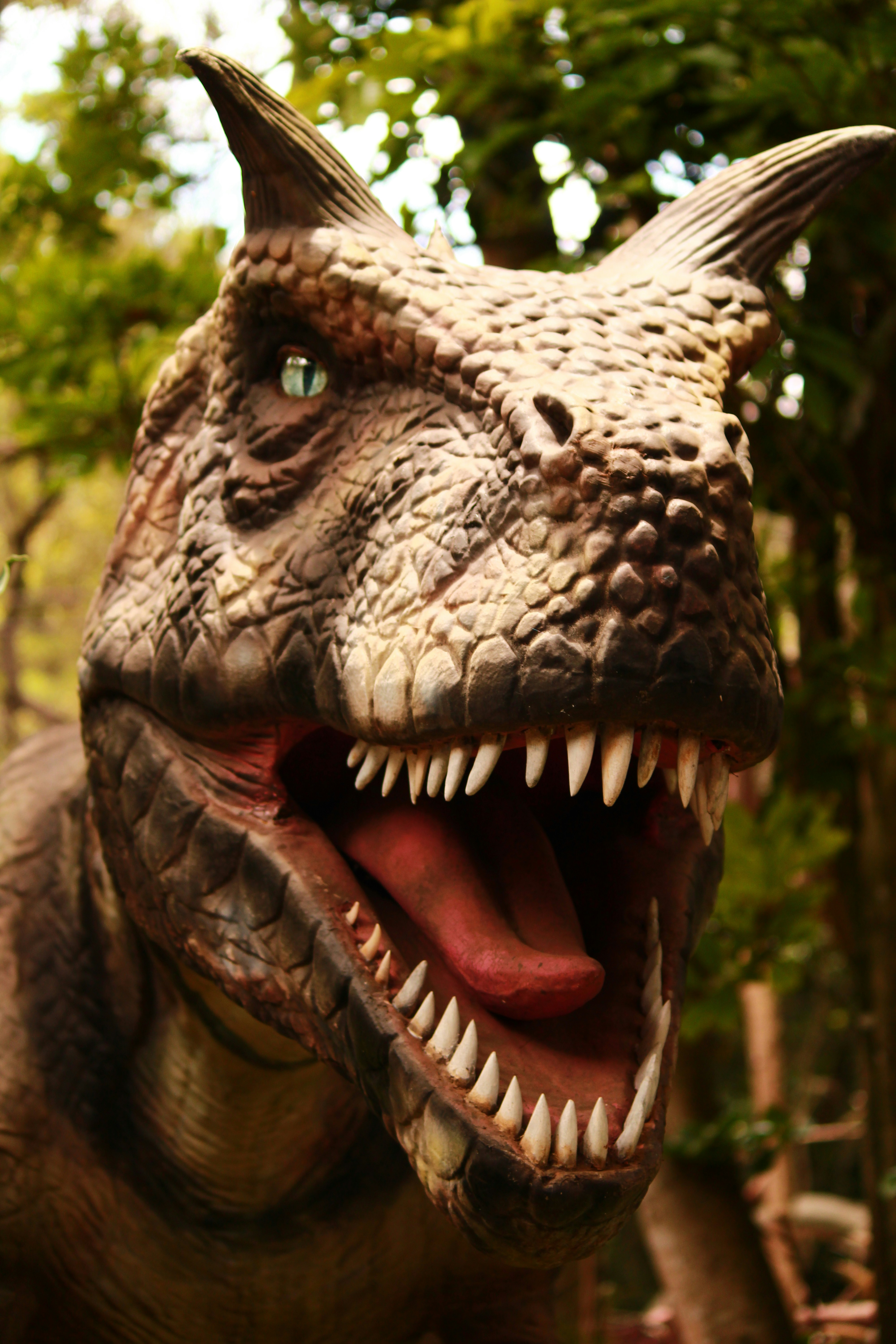 Photo by iamblondfox