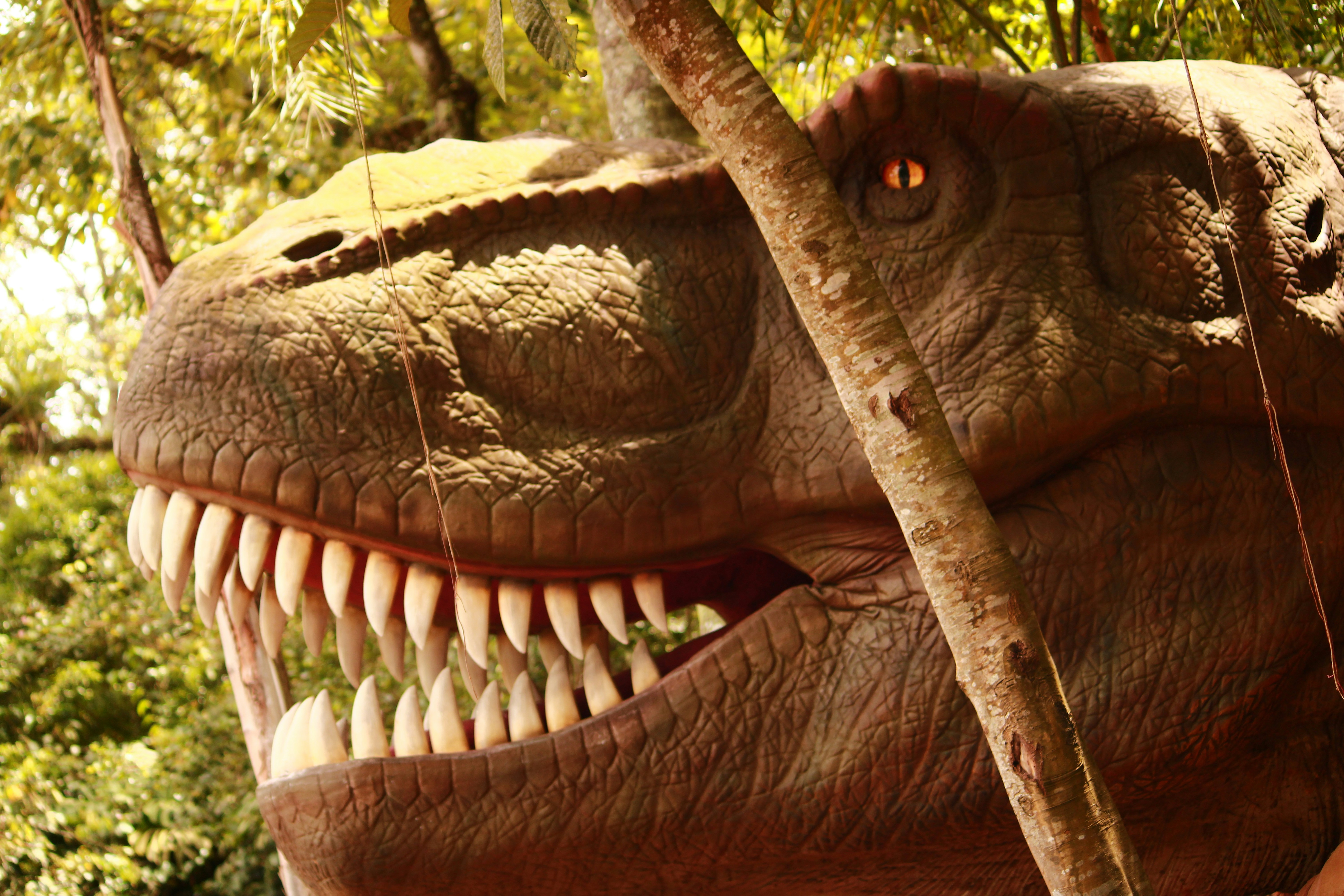 Dr. Ian Malcolm: Chaos, Complexity, and Control (image credits: unsplash)