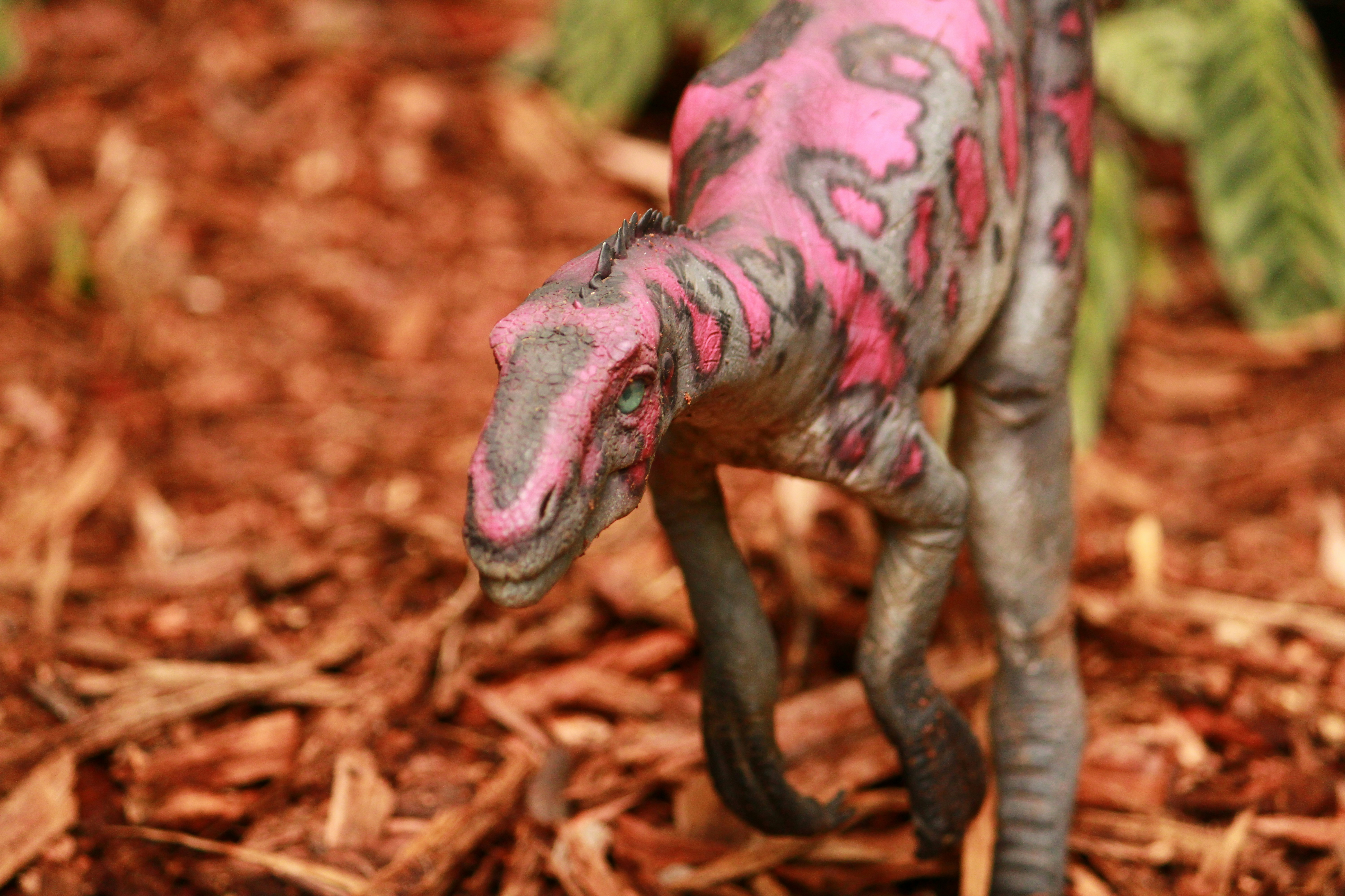 Photo by iamblondfox