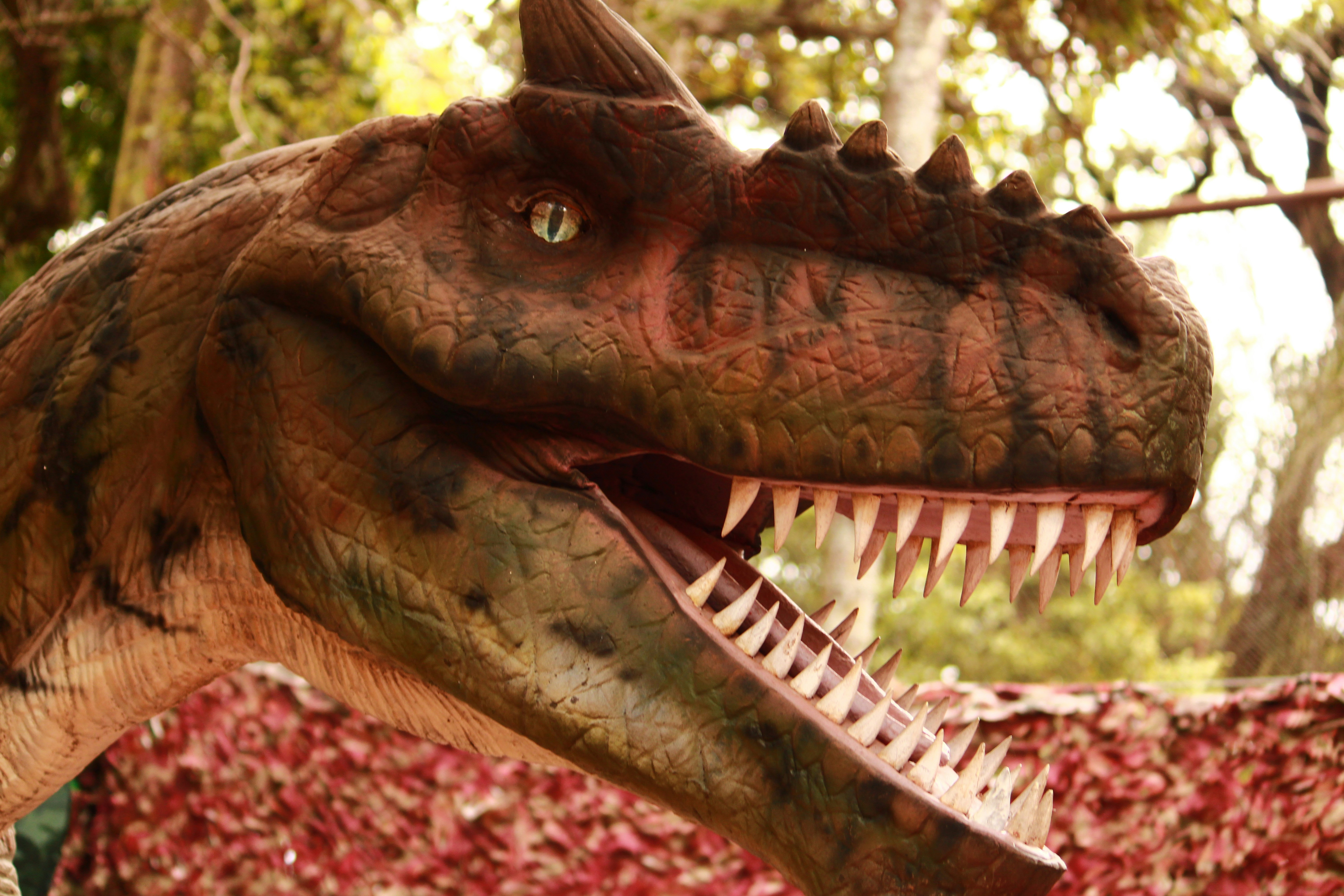 Photo by iamblondfox