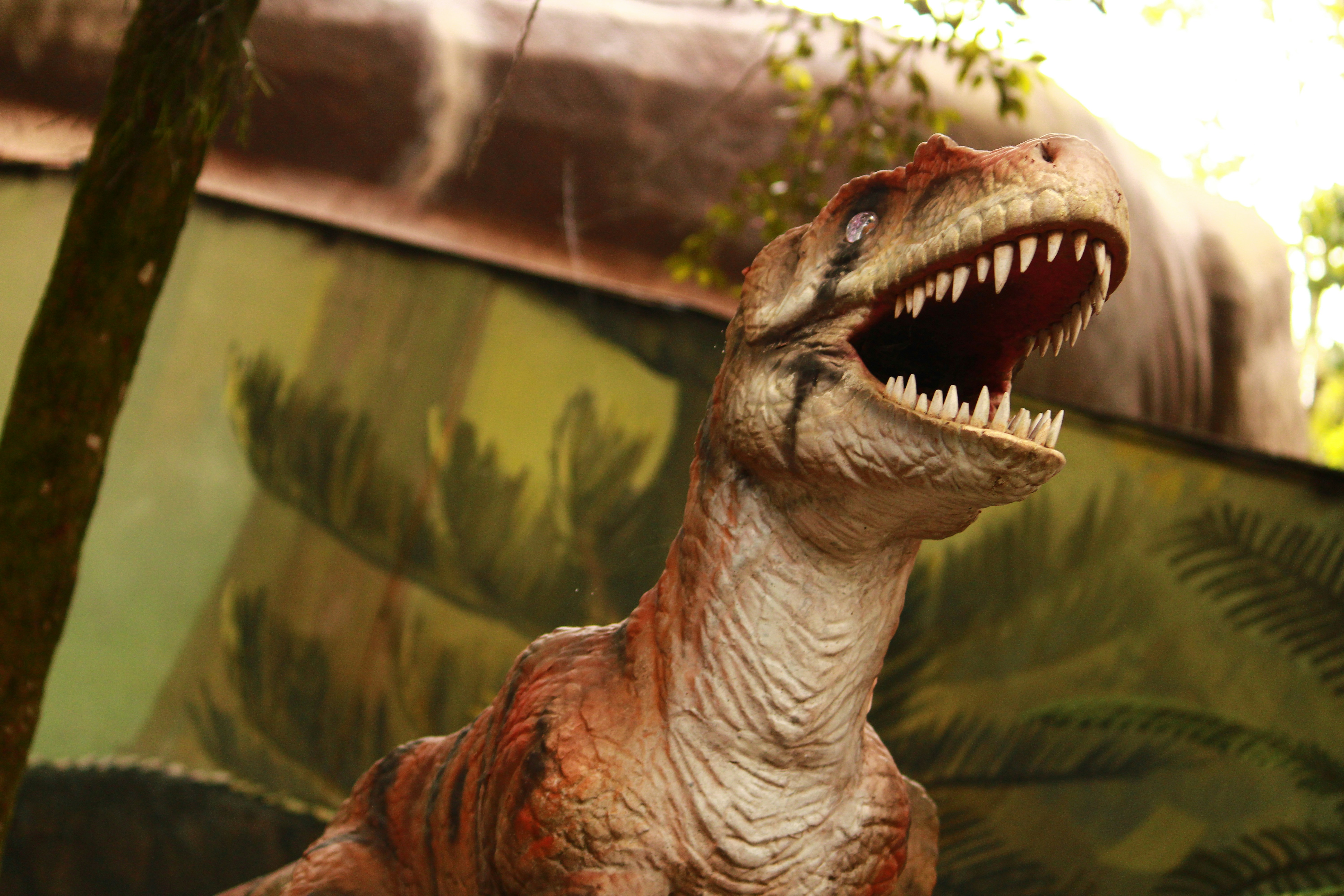 Photo by iamblondfox