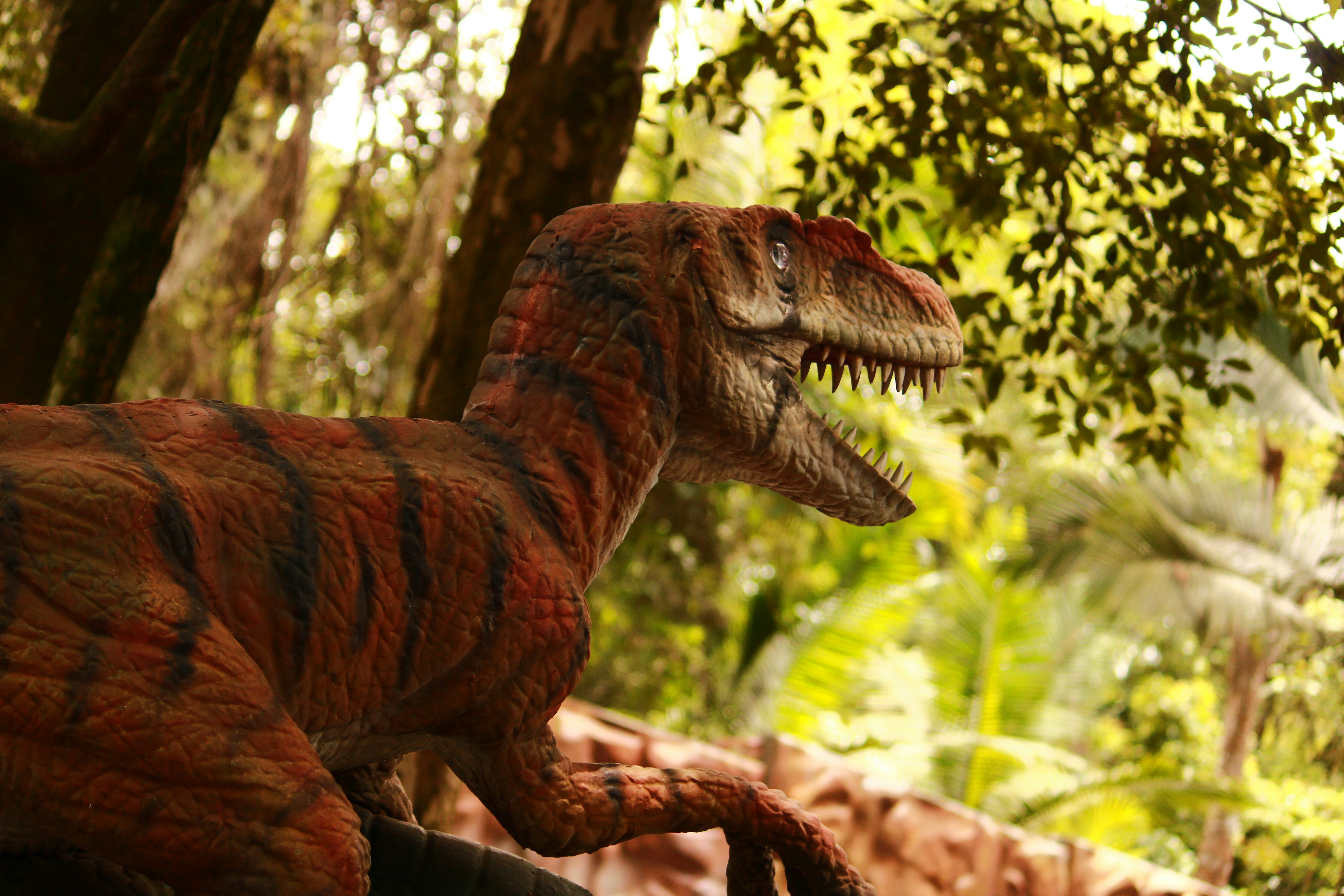 Photo by iamblondfox