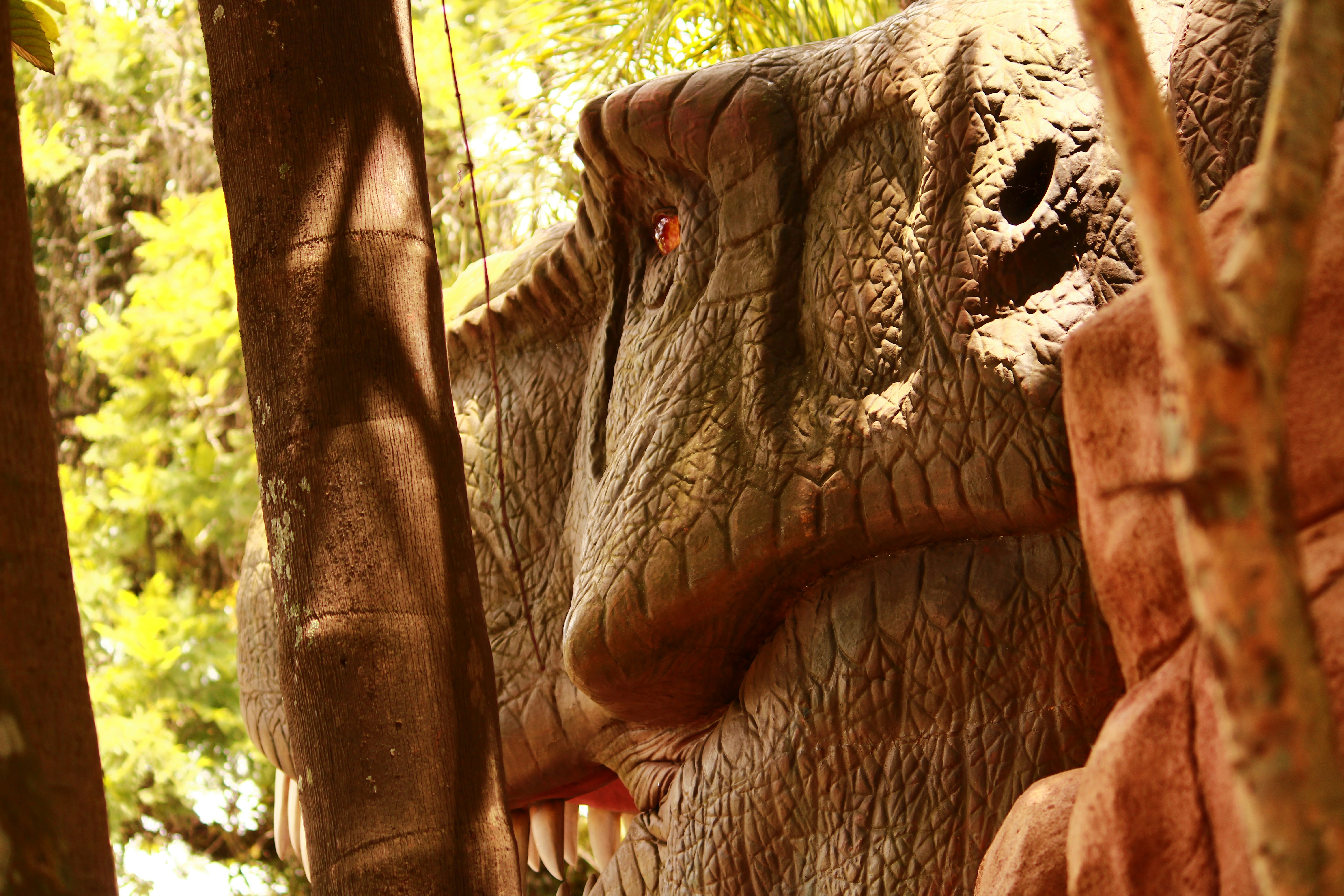 Photo by iamblondfox