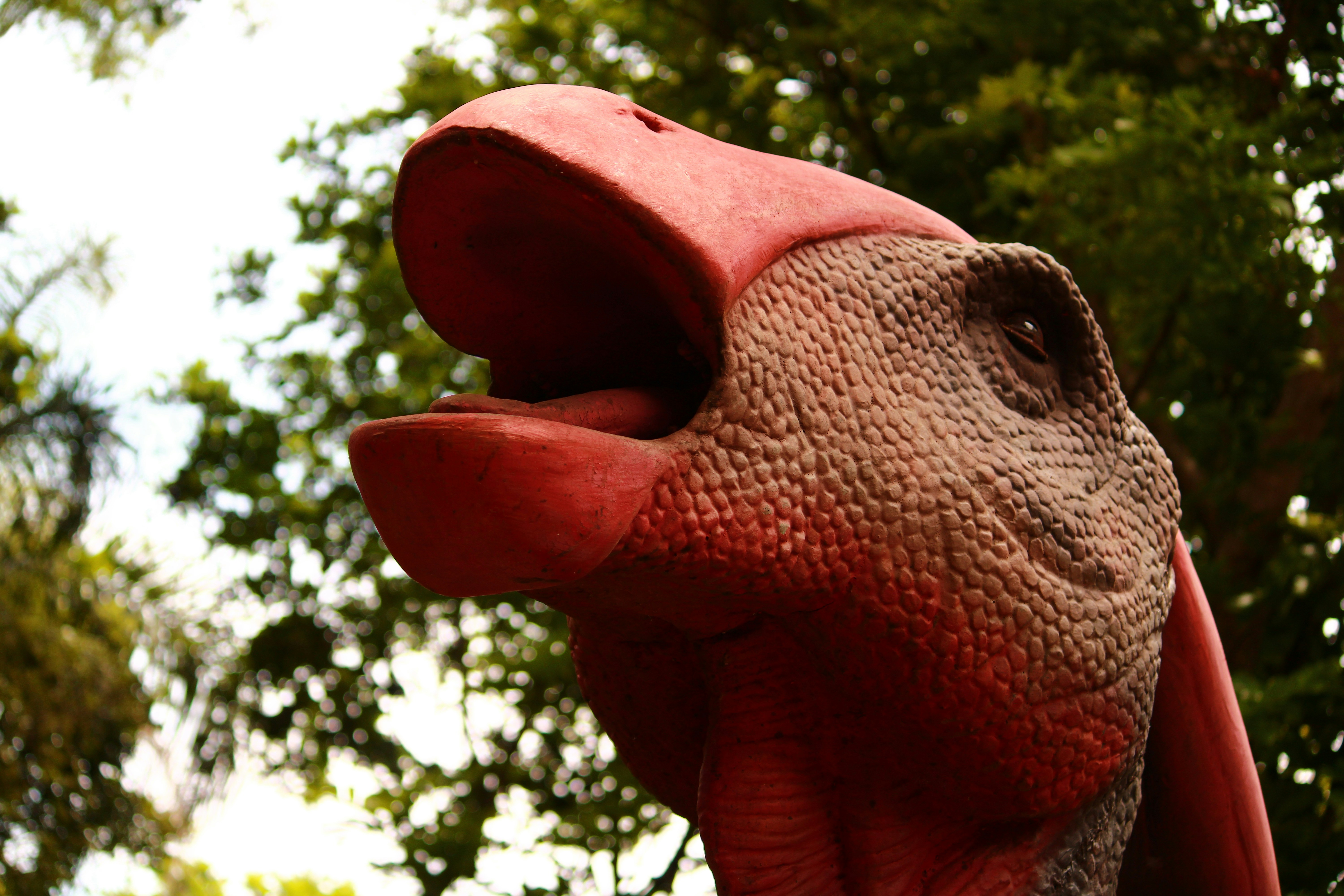 A close up of a stuffed animal with trees in the background