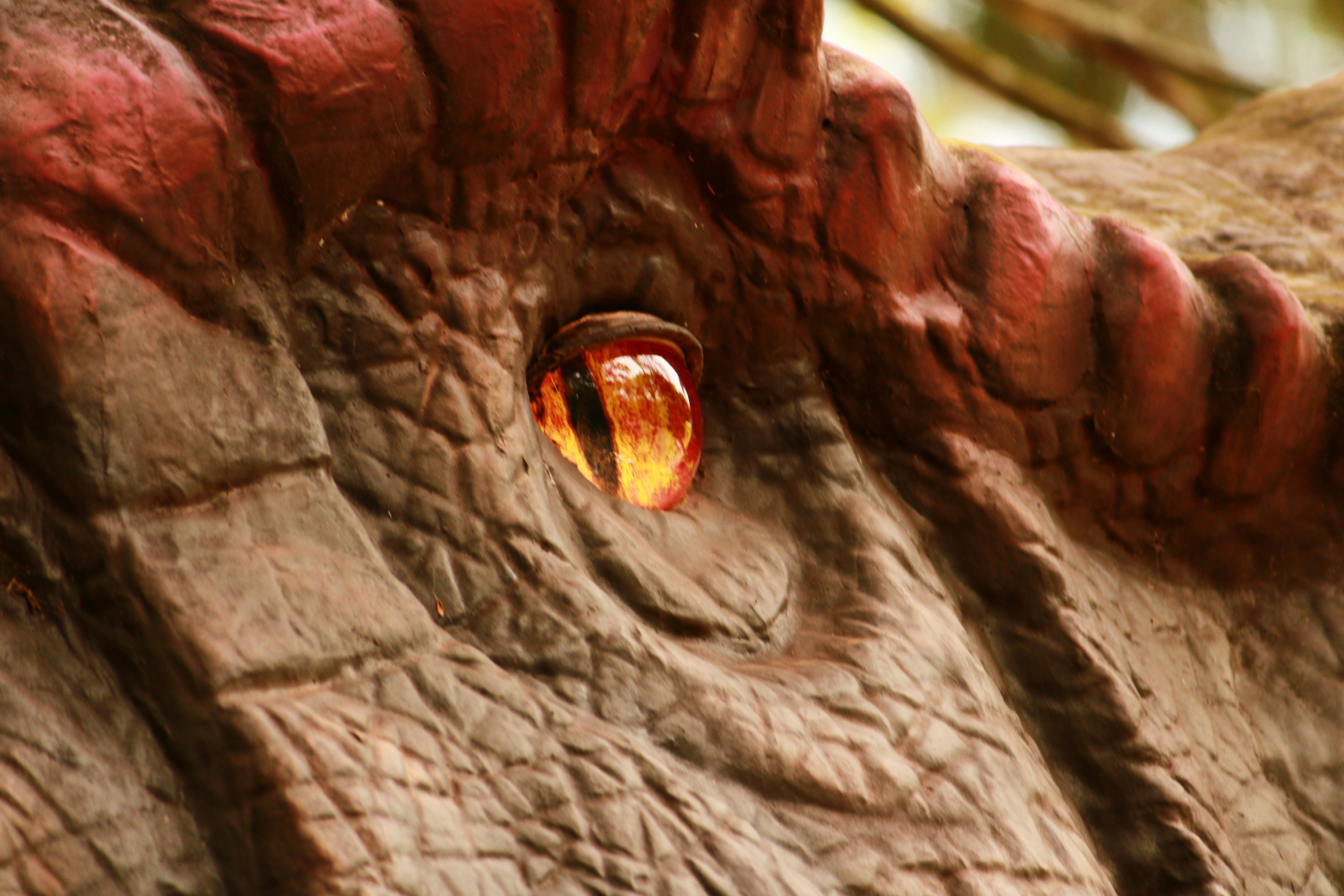 Photo by iamblondfox