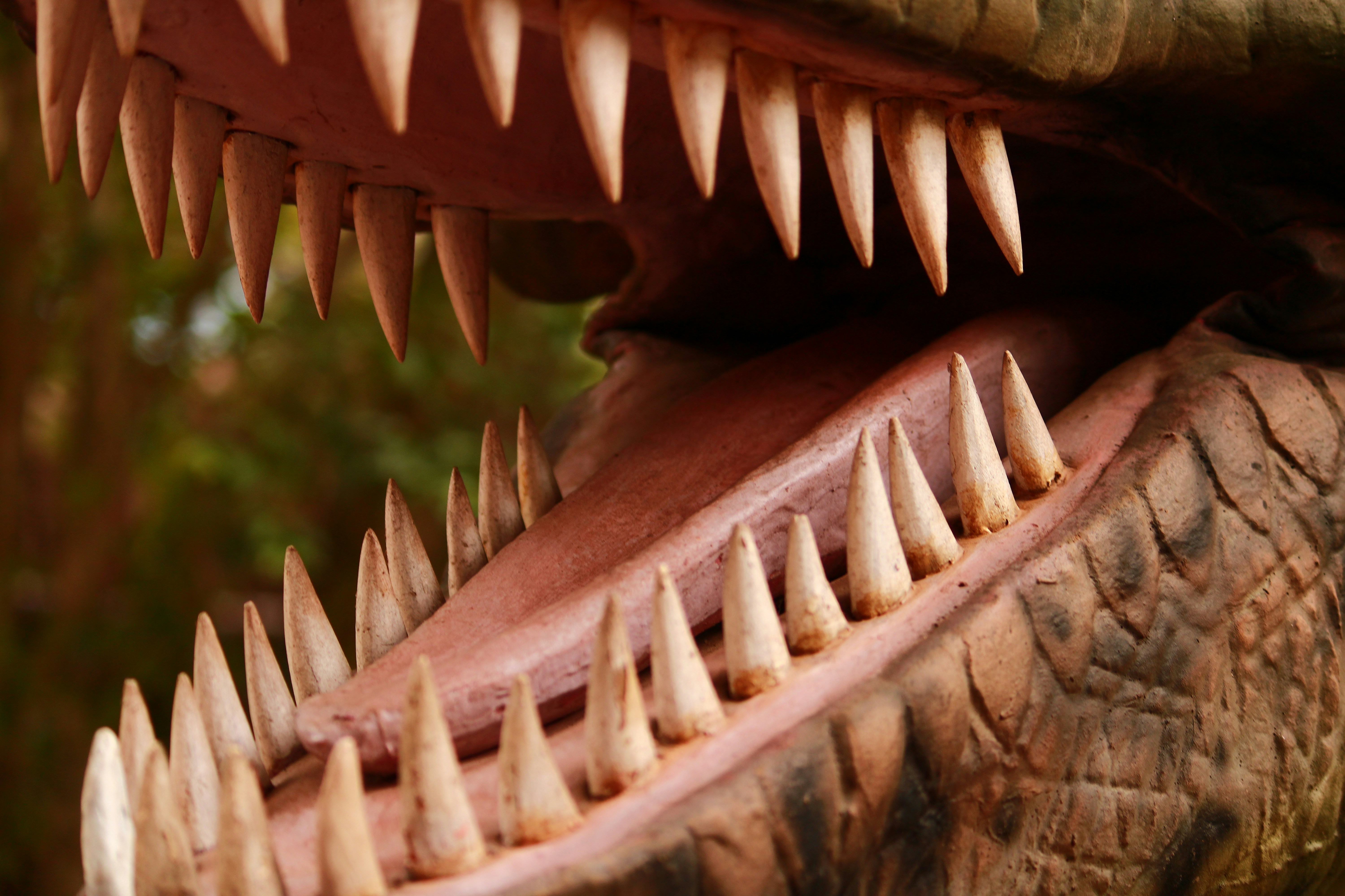 Photo by iamblondfox