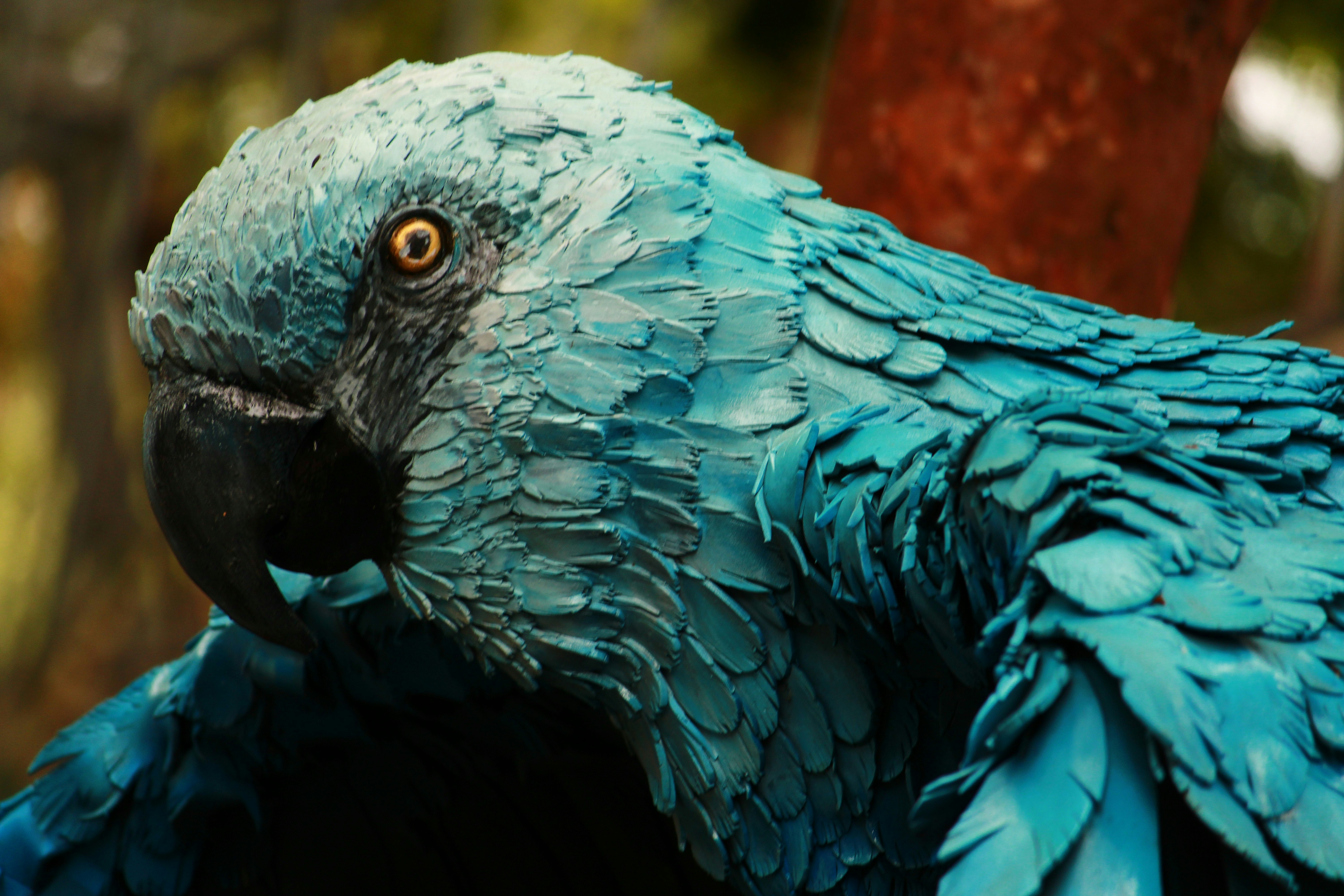 Photo by iamblondfox