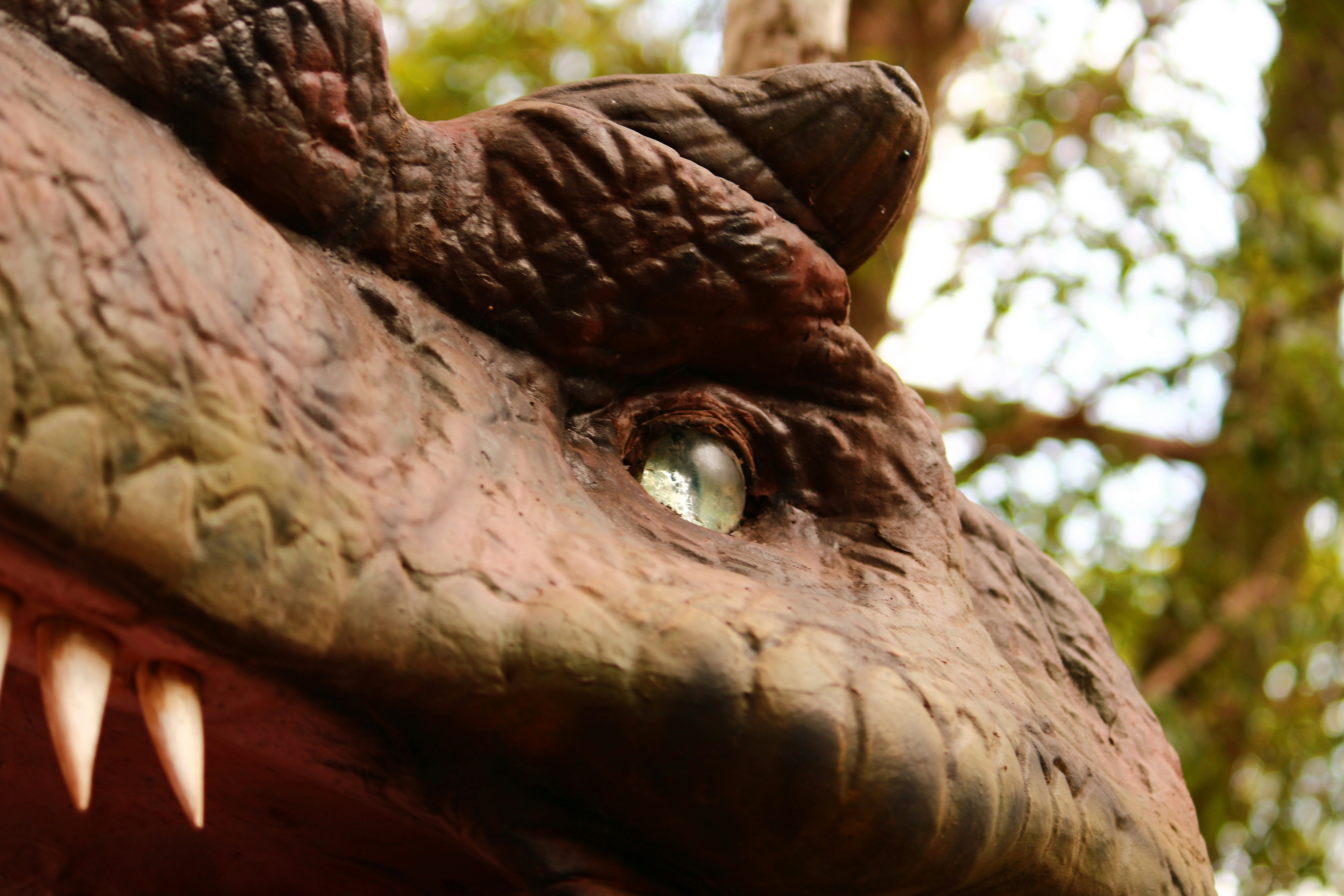 Photo by iamblondfox